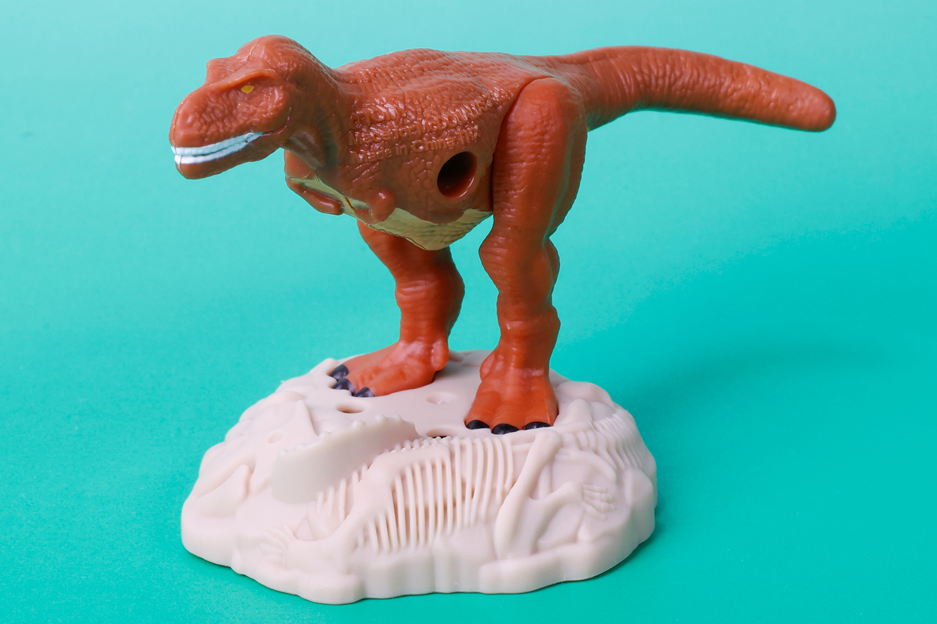 大きな足と比較して極端に小さい手も特徴のひとつだ