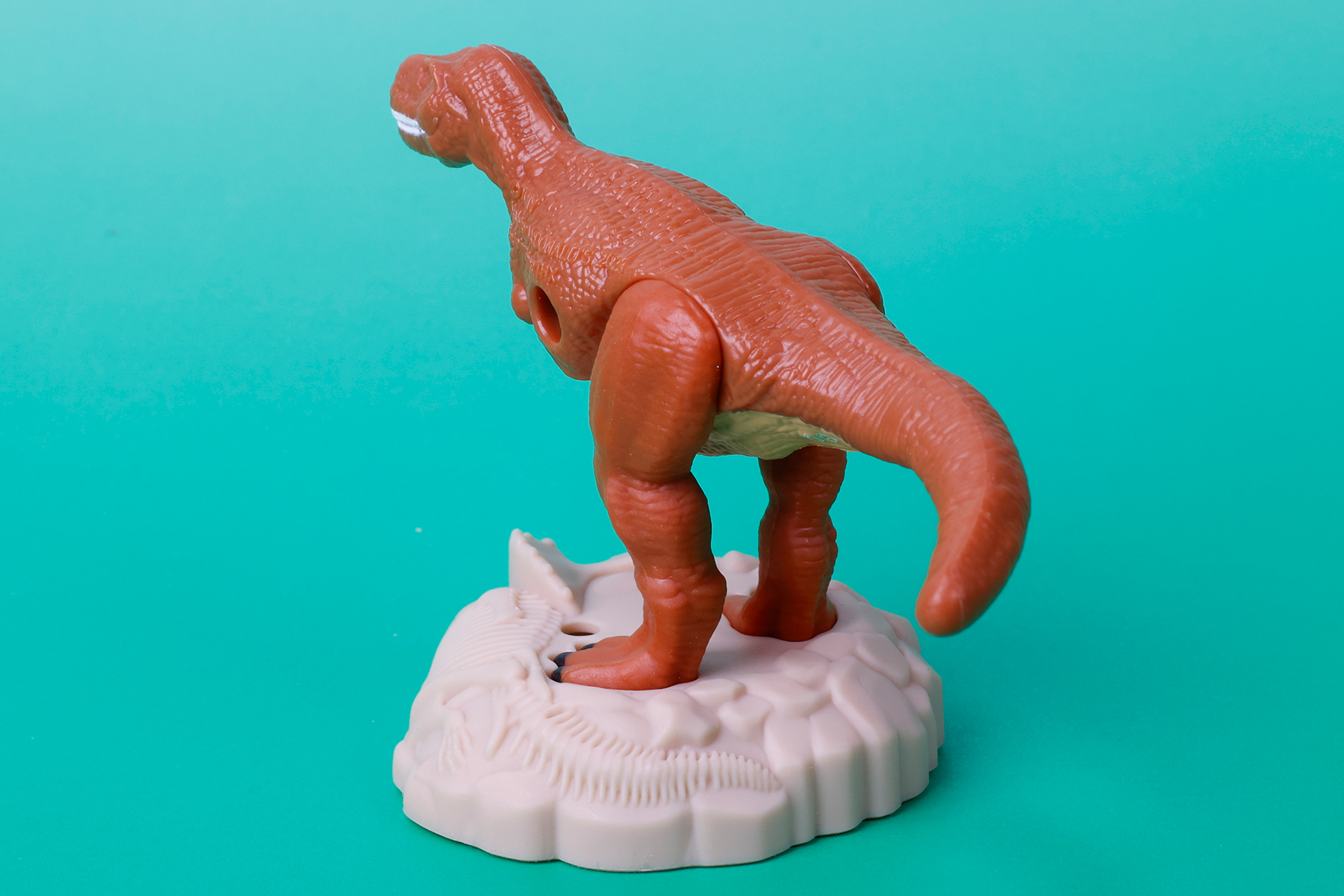 岩場は他の恐竜の骨のようなものがデザインされている