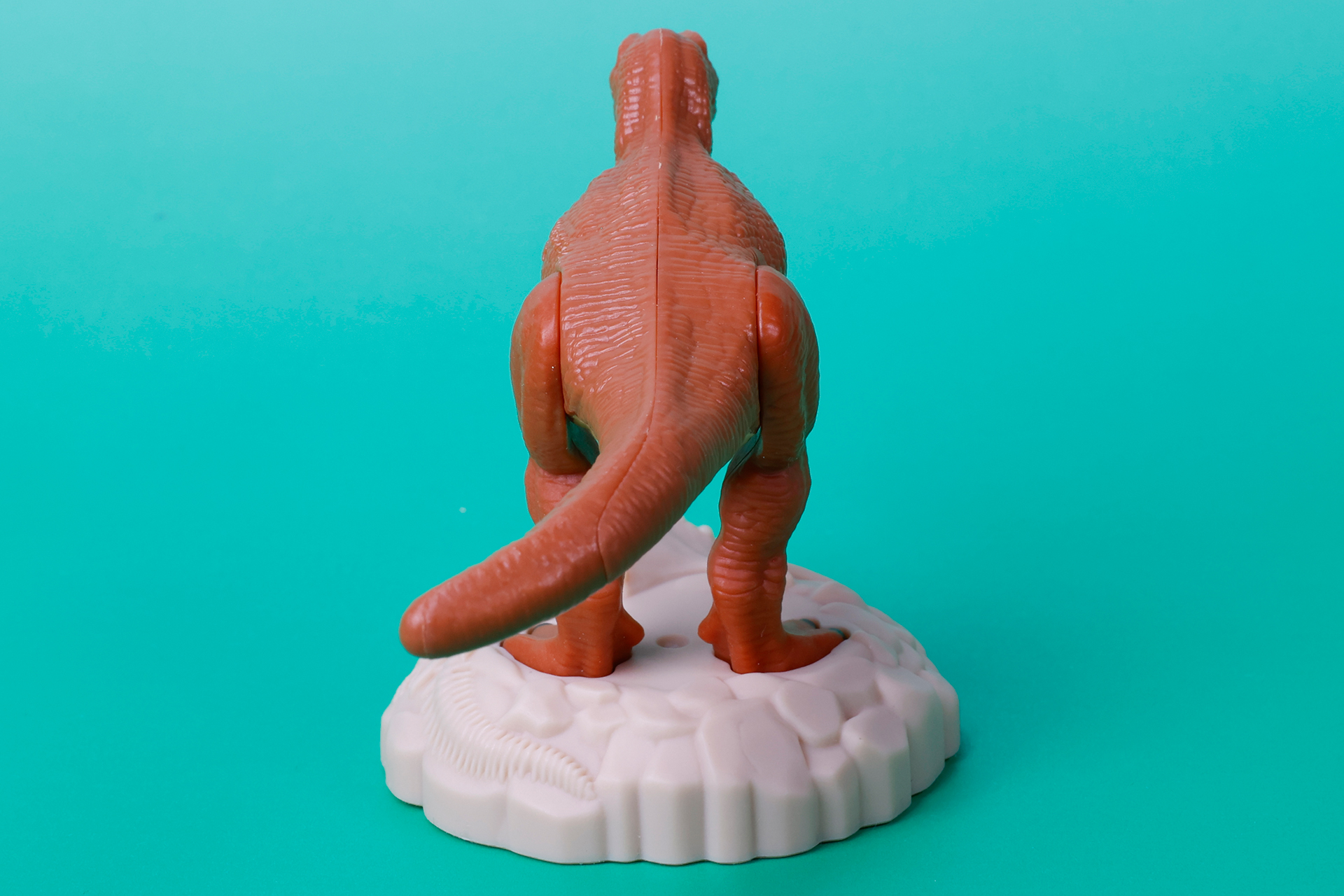 こちらはティラノサウルスを後ろからみたところ