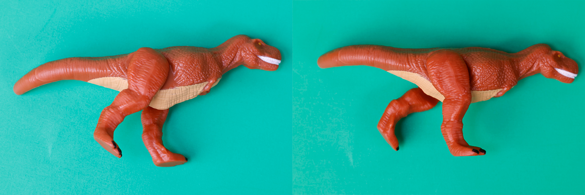 足はこのように動かすことが可能だ