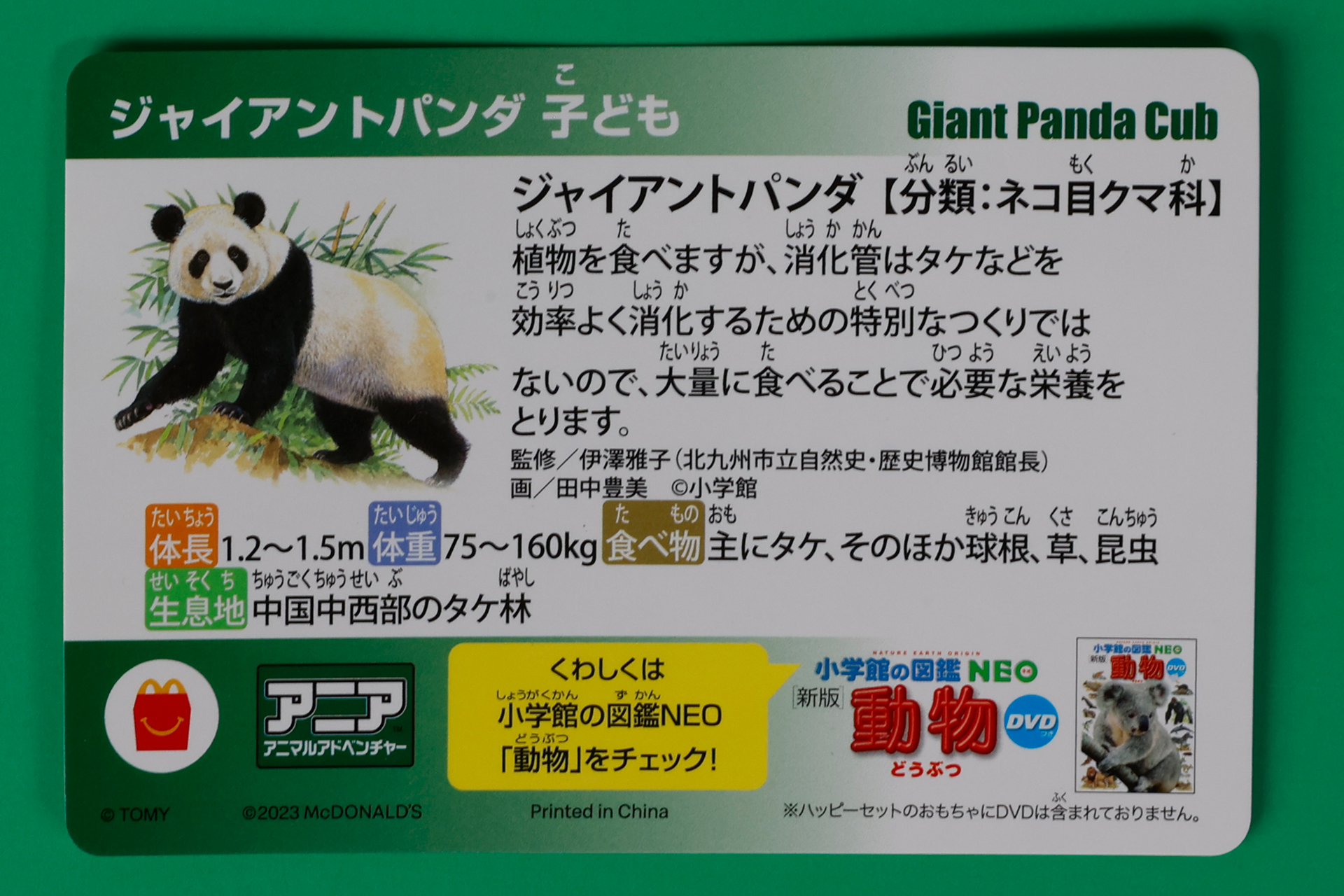 付属のカードには、ジャイアントパンダの子どもについての様々な情報が書かれている
