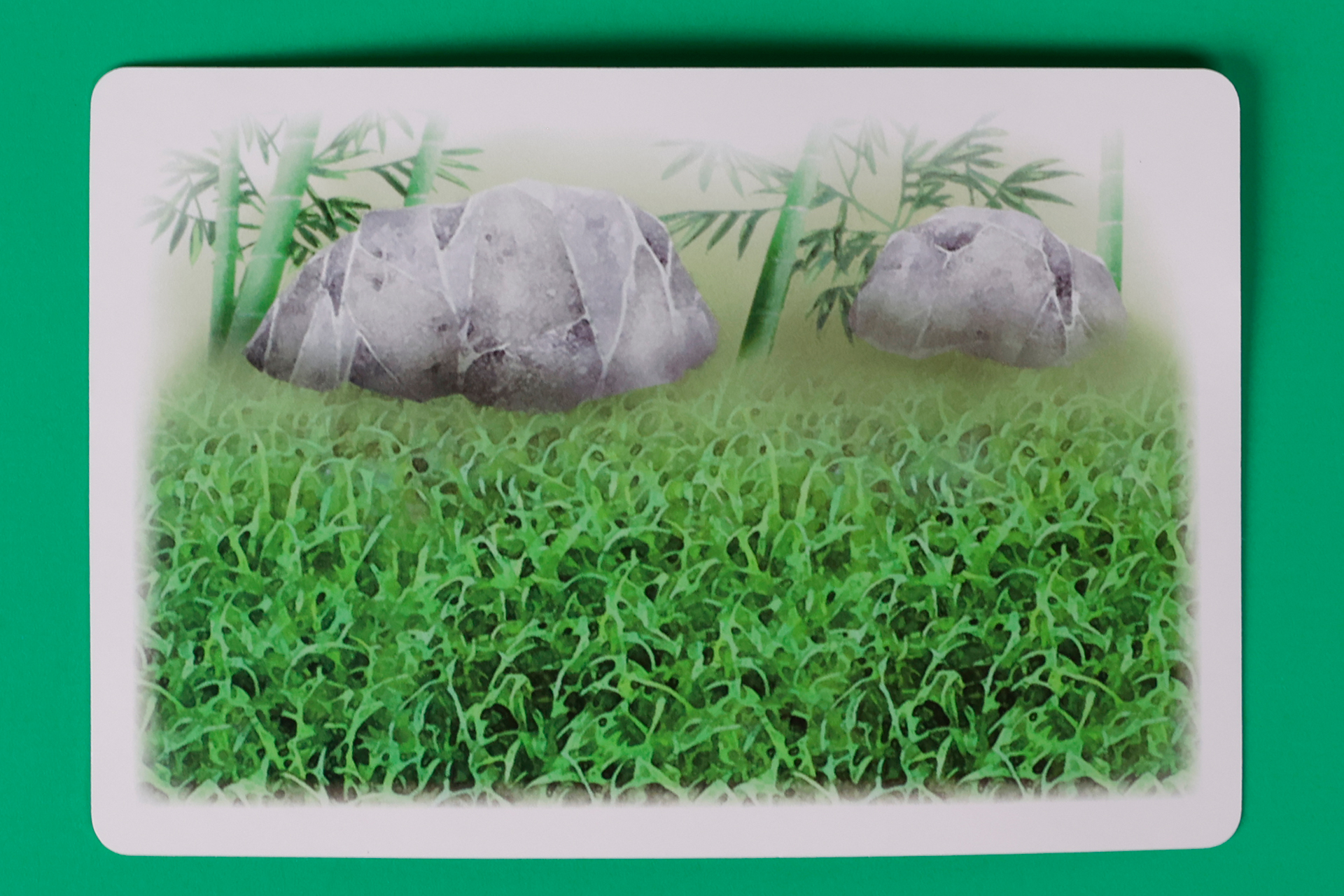 裏面にはパンダが住んでいそうな背景が描かれている