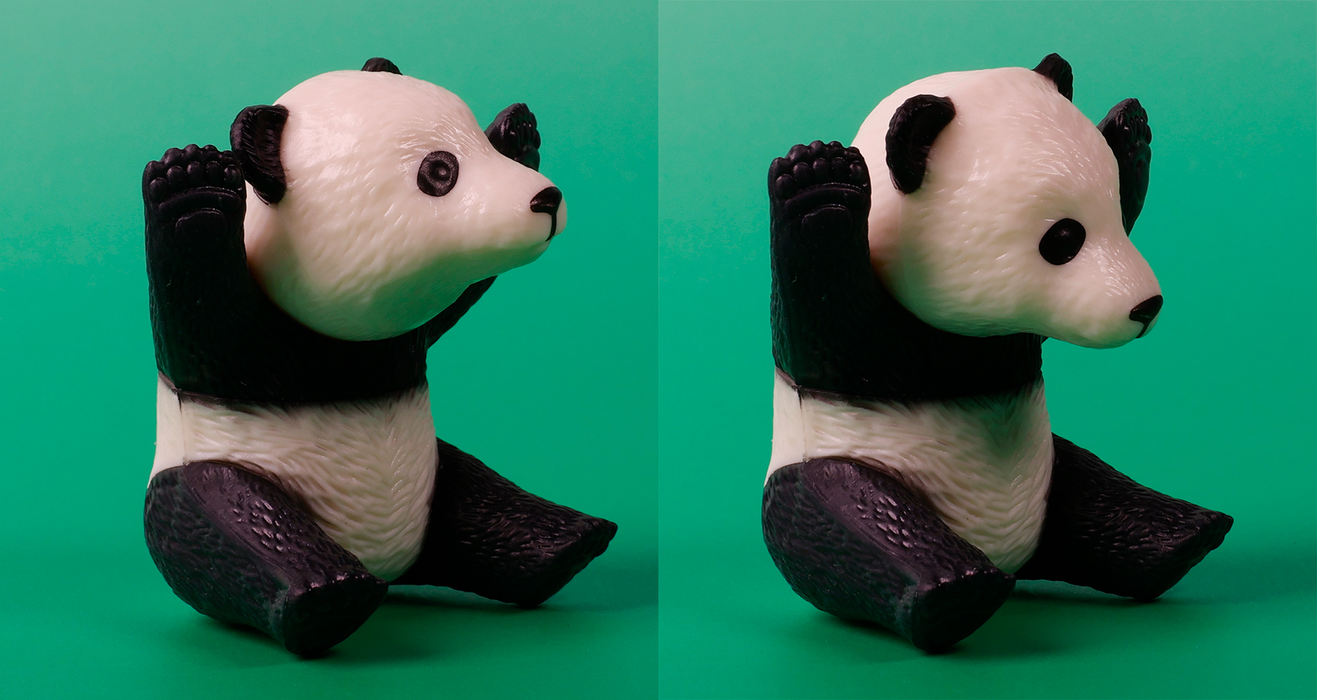 ジャイアントパンダの子どもの頭部は、このように上下に可動する