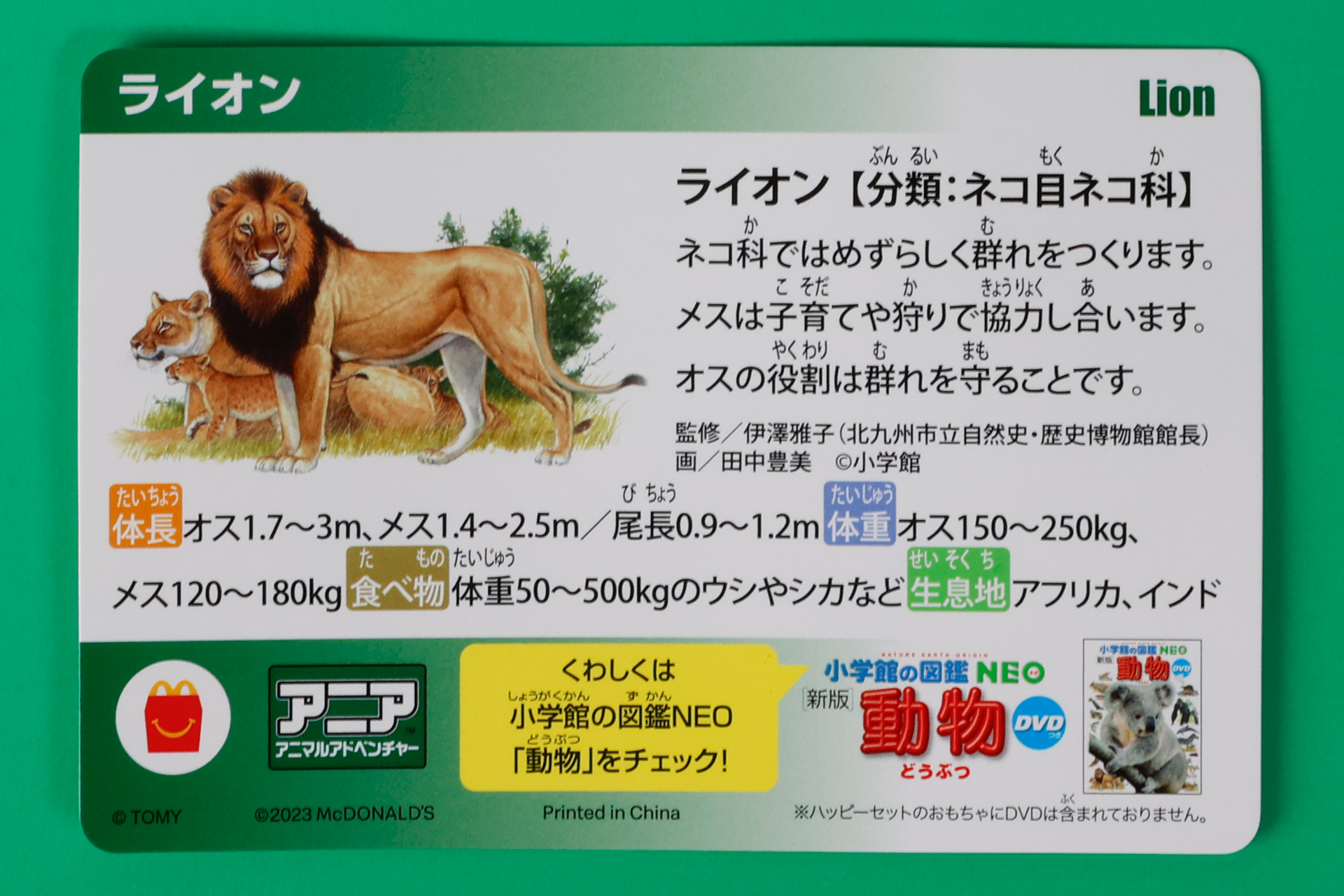 ライオンに関する様々な情報が書かれたカードも付属している