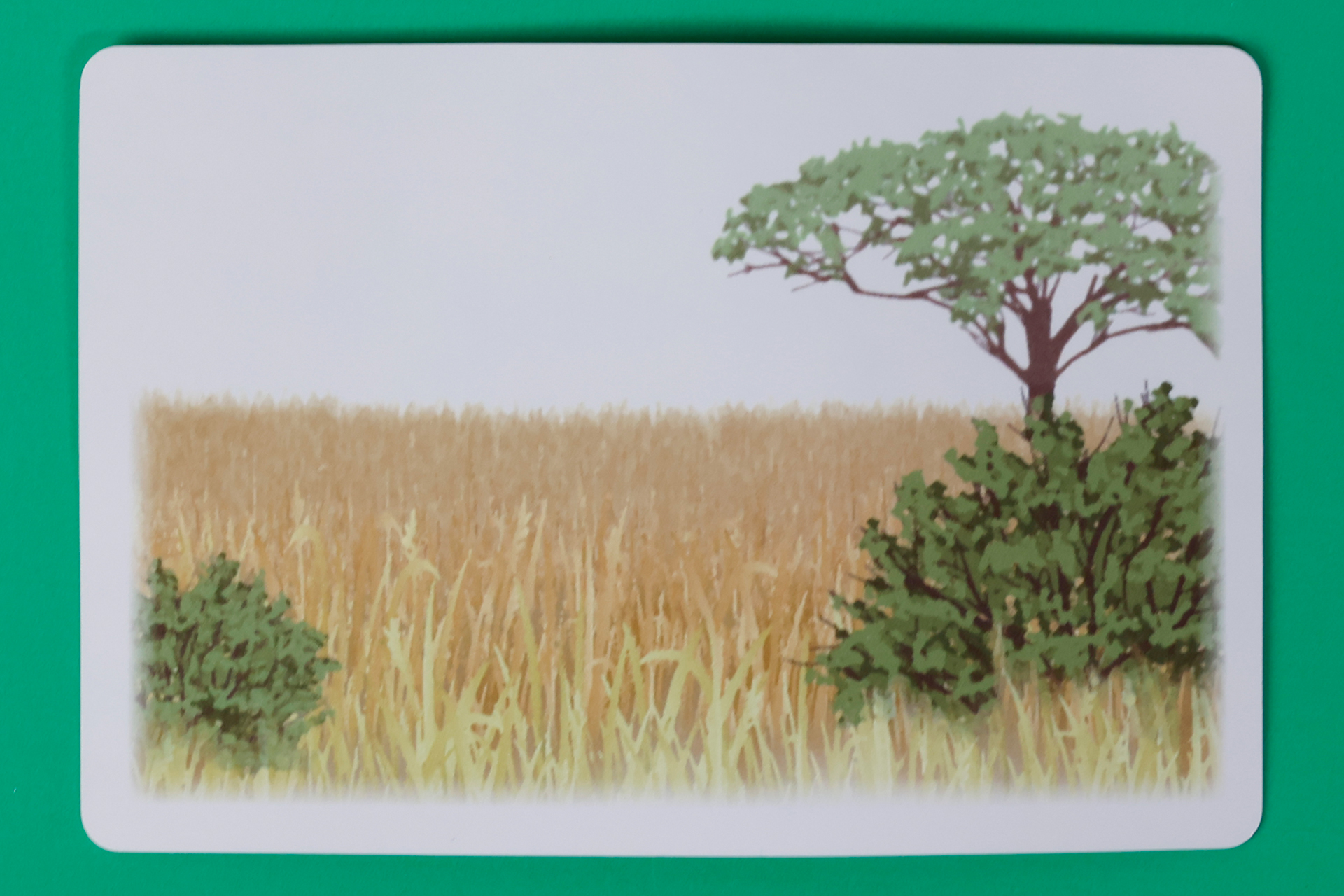 カードの裏面には、ライオンが住むサバンナのような風景が描かれている