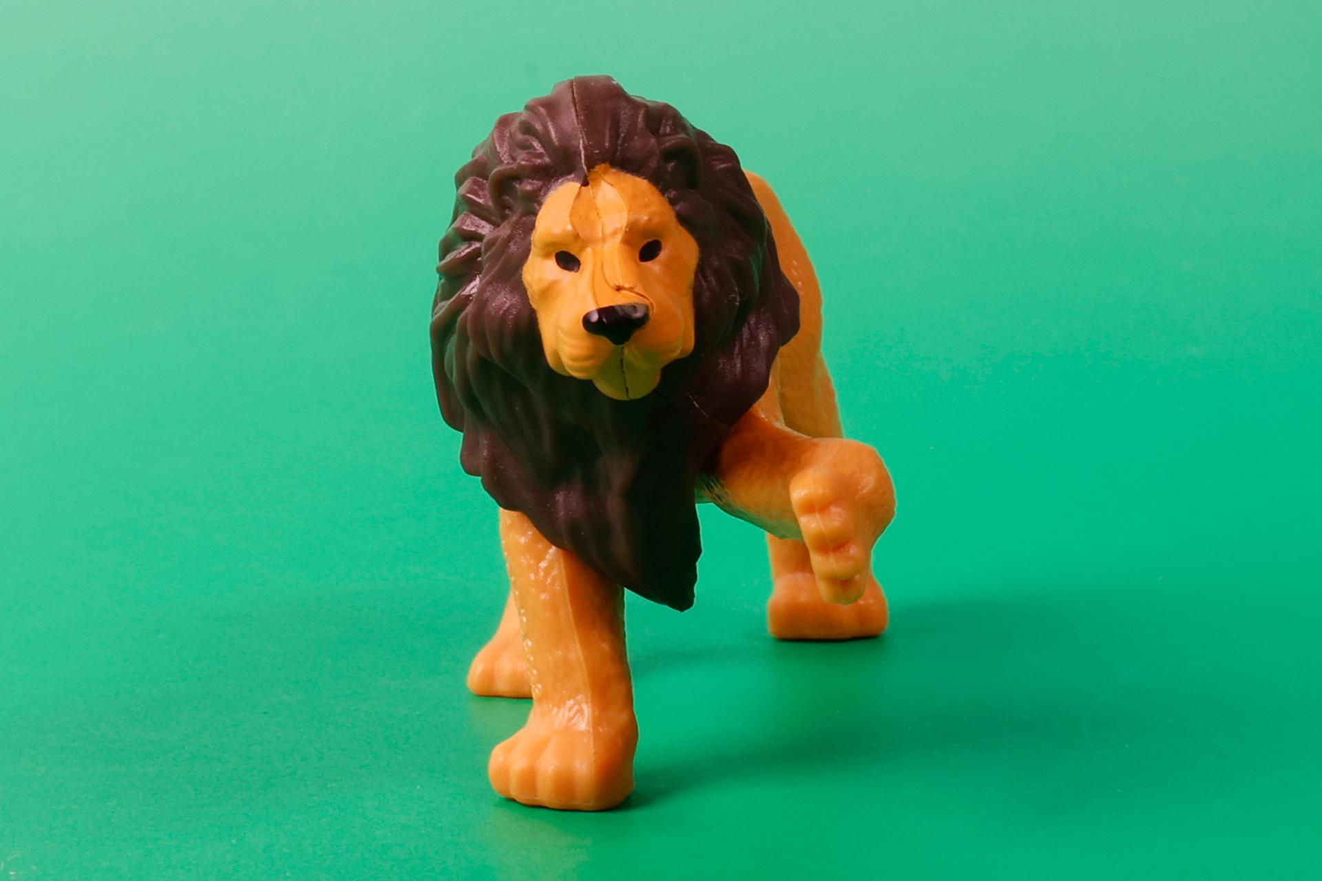 猛獣でありながら、どこかかわいらしさも合わせ持っている