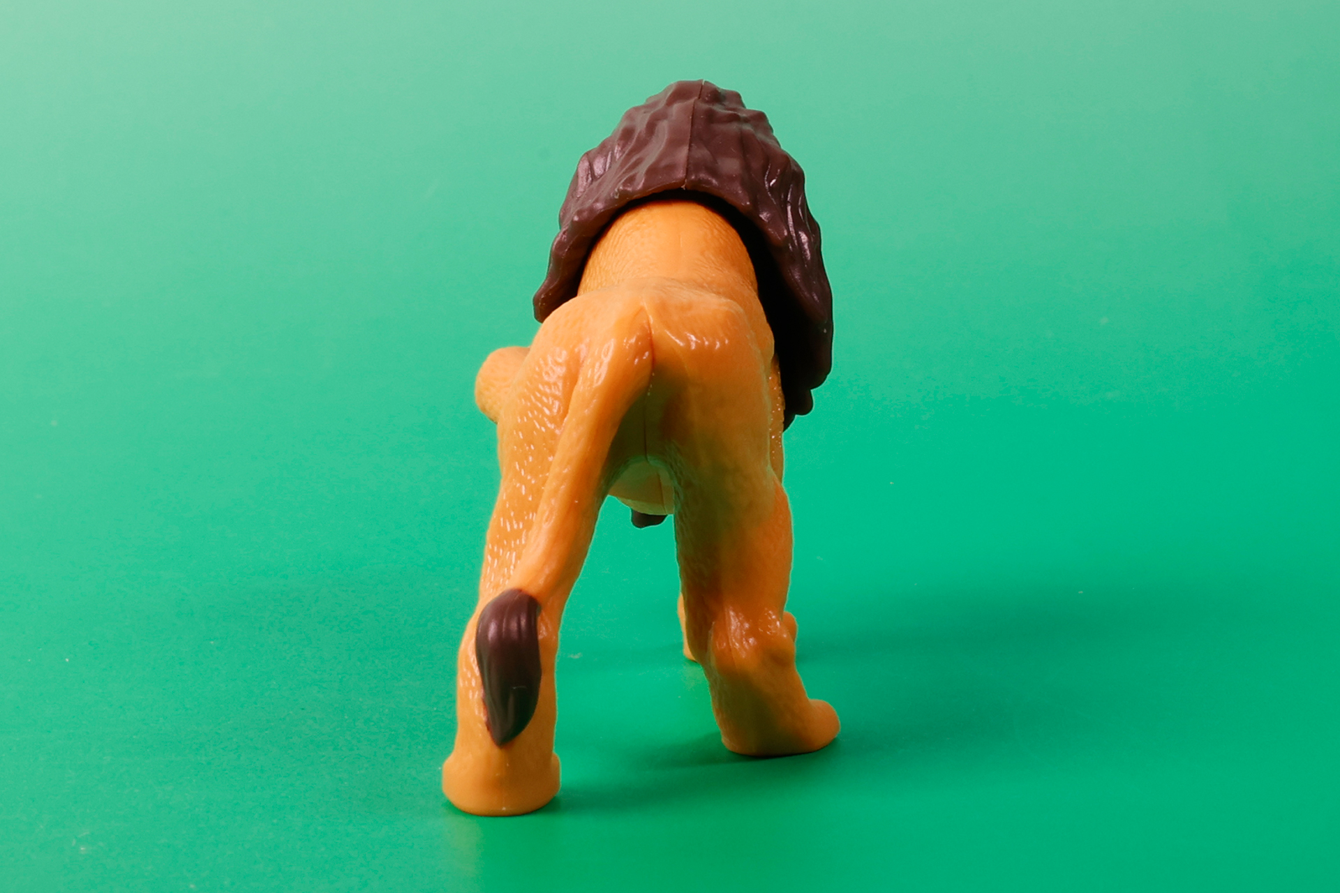 後ろ姿にもライオンらしいりりしさがある