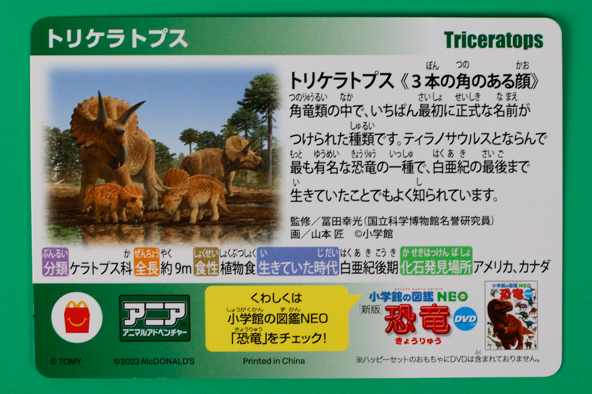 トリケラトプスについての詳しい情報が書かれたカードも同梱されている