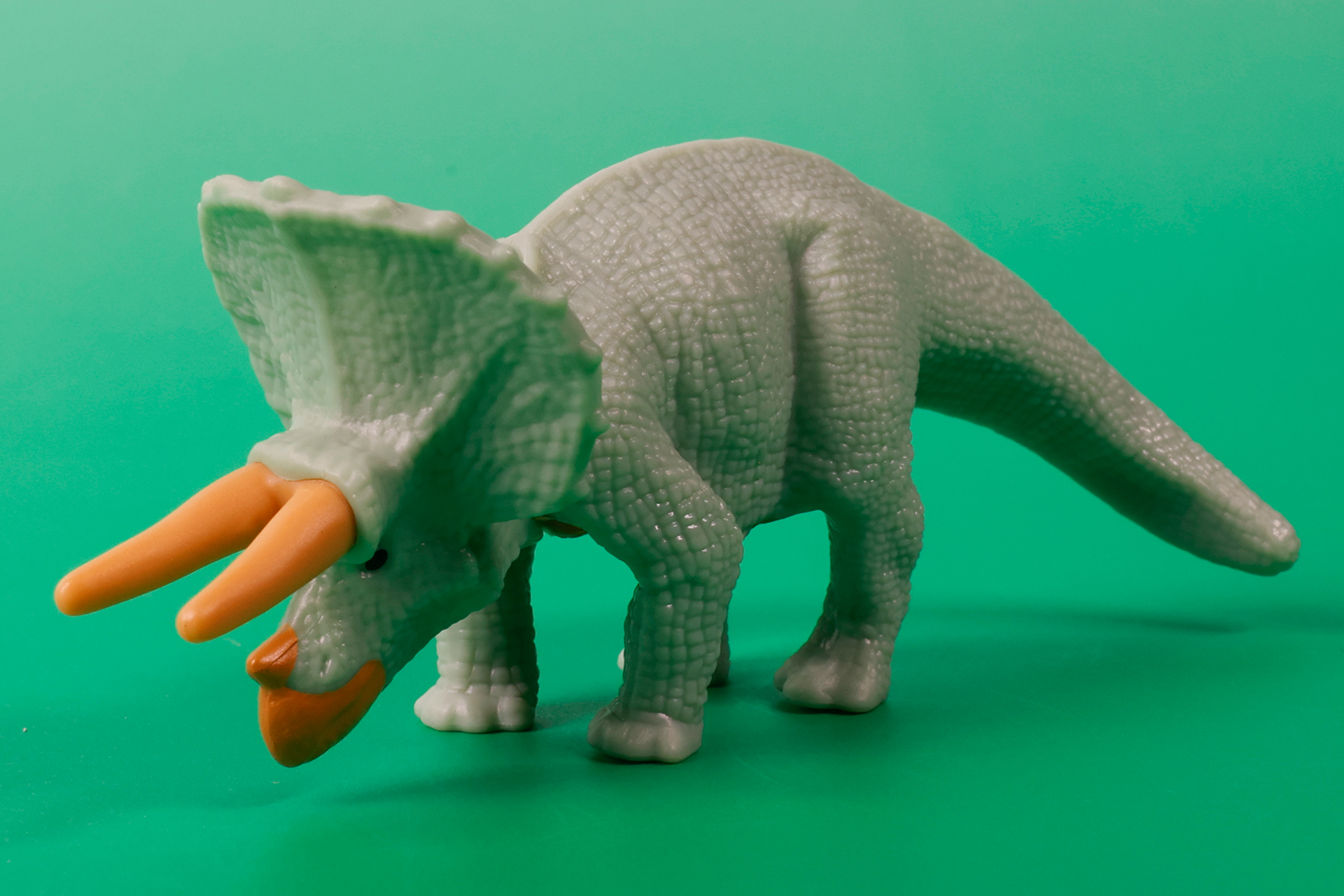 角の部分は体とは色分けされている