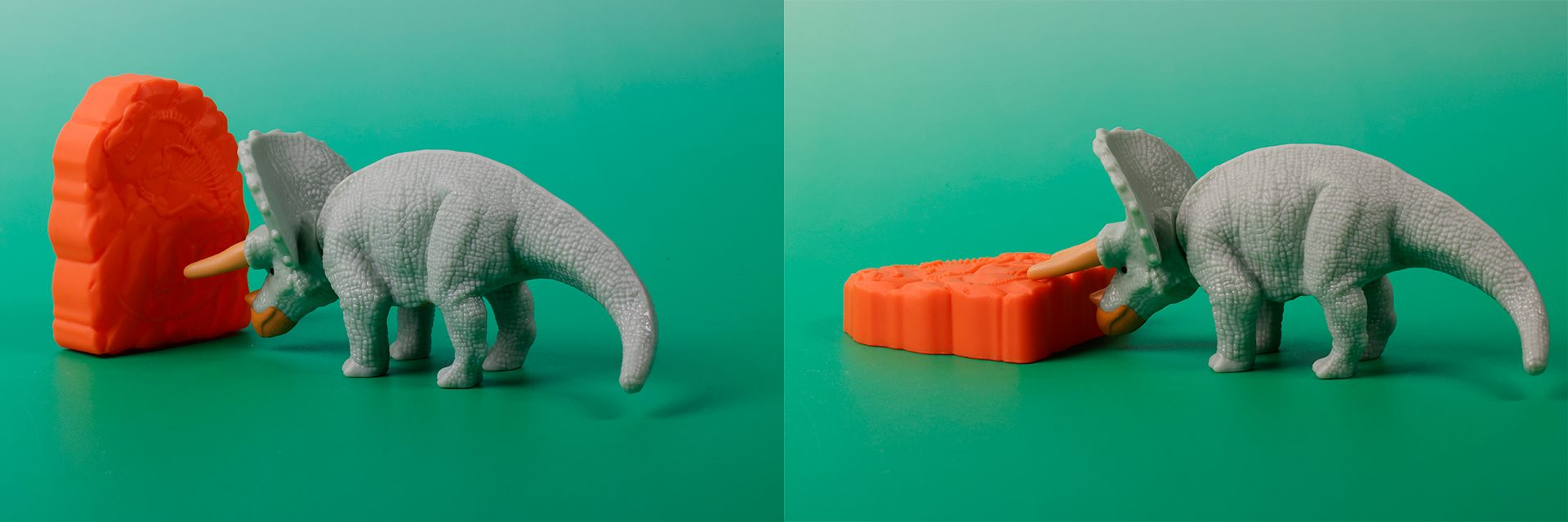 付属しているオレンジ色の恐竜の化石は、トリケラトプスの角を当てて倒して遊ぼう