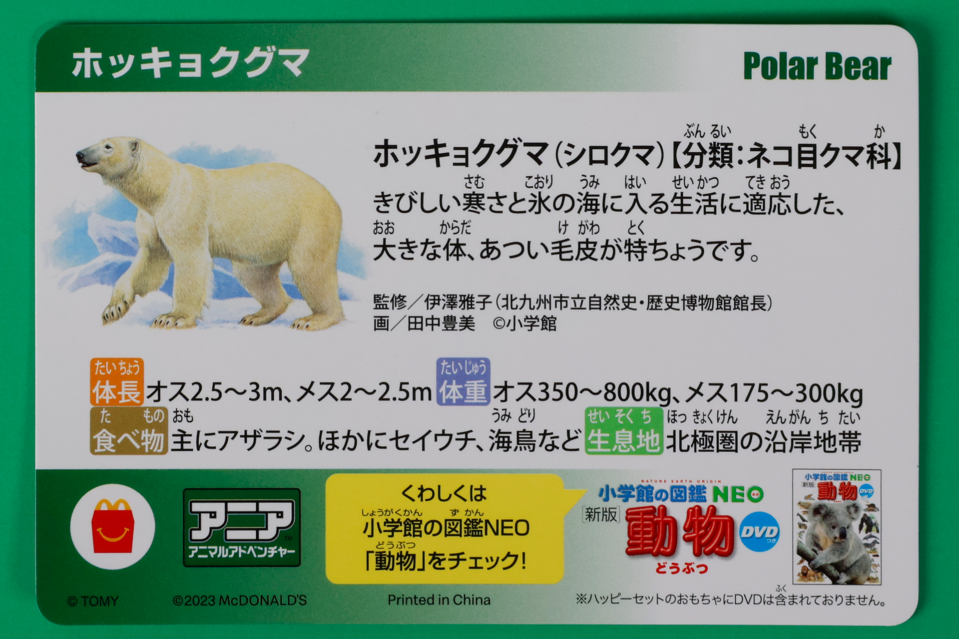 ホッキョクグマの生態などが書かれたカードも付属している