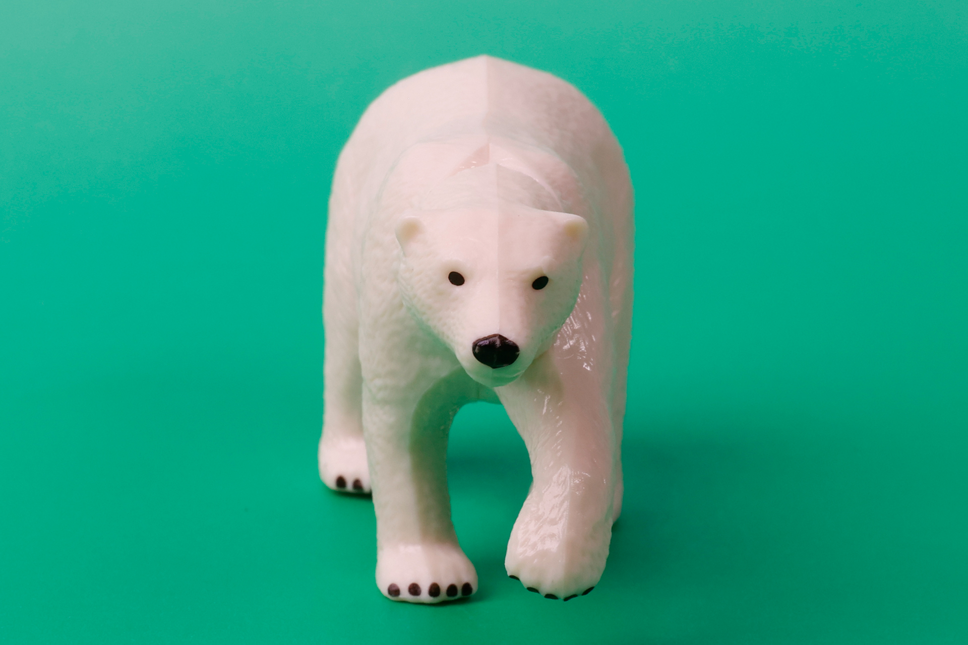 白い体につぶらな瞳が特徴的だ