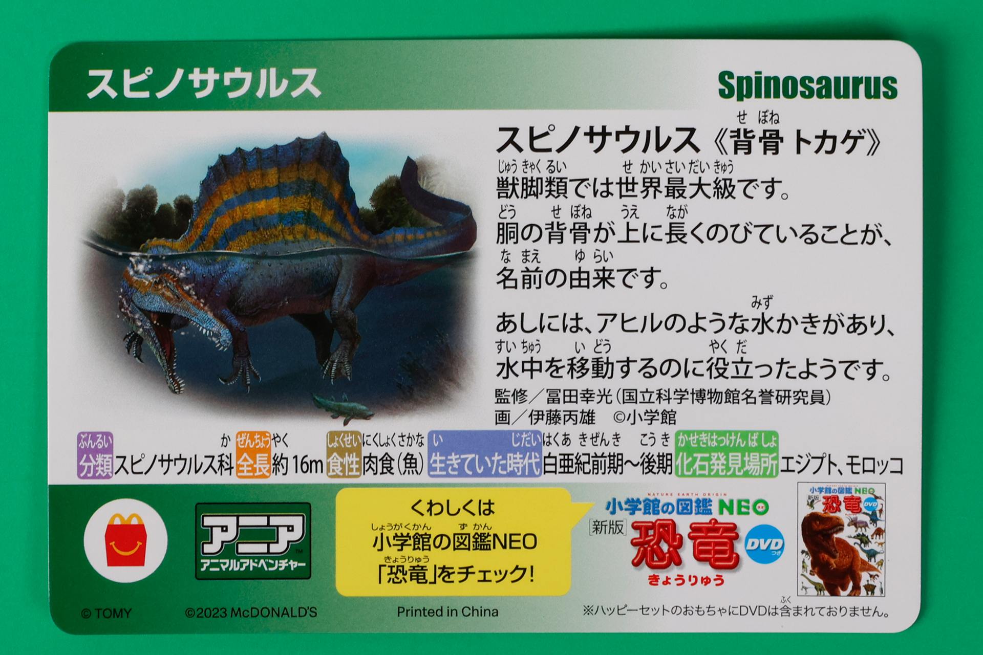 付属のカードでは、恐竜にあまり詳しくない人向けにわかりやすく解説してくれている