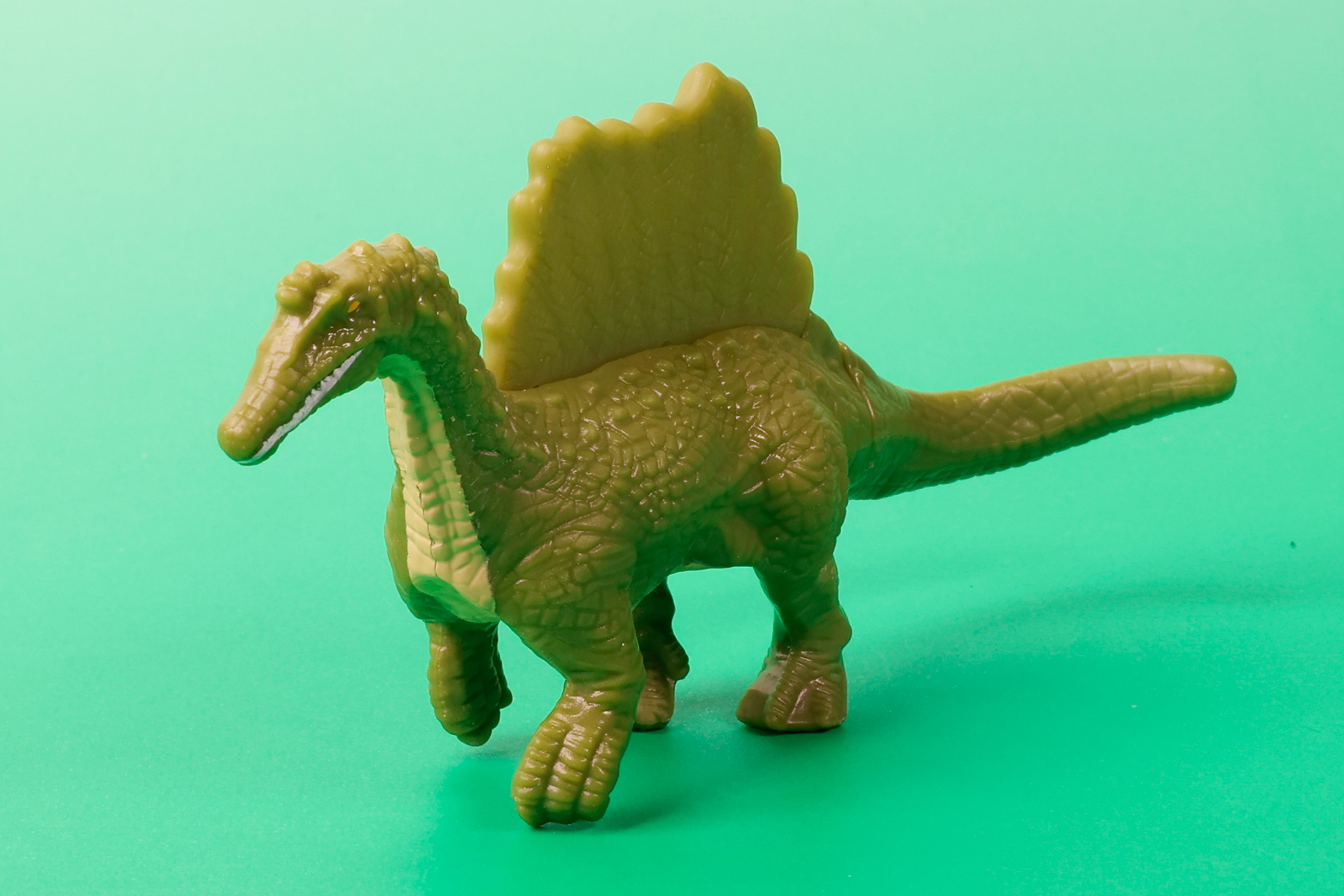 水の中を移動しやすいように、足には水かきも付いている