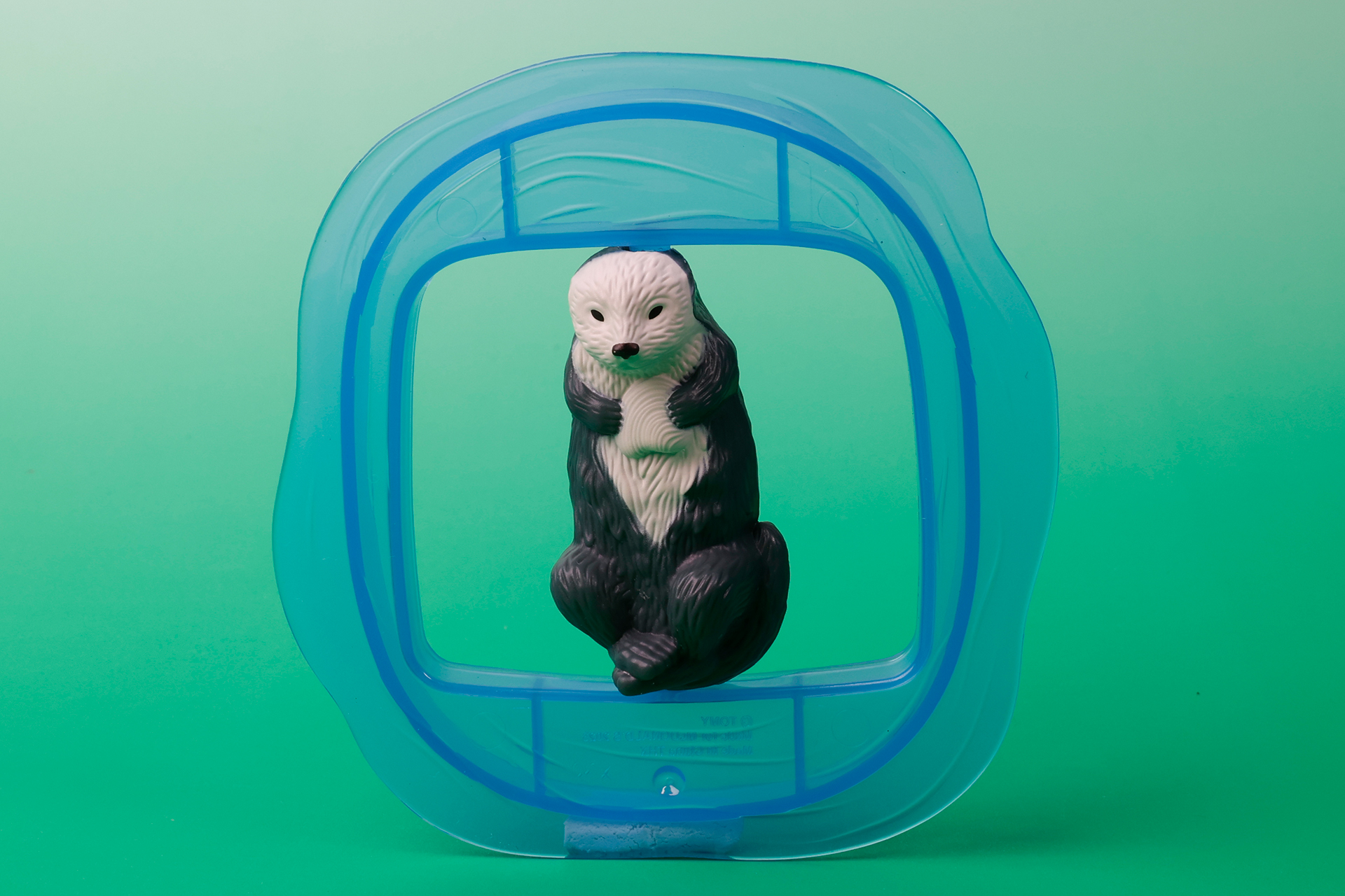 可愛らしさと野生の動物らしさが合わせ持ったようなラッコの姿