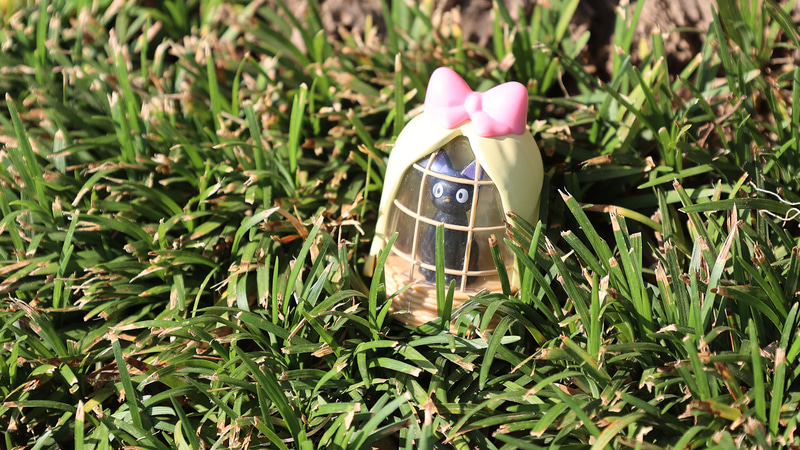 草の中に置いてももうかわいすぎます