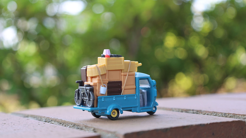 自然光が似合いますね