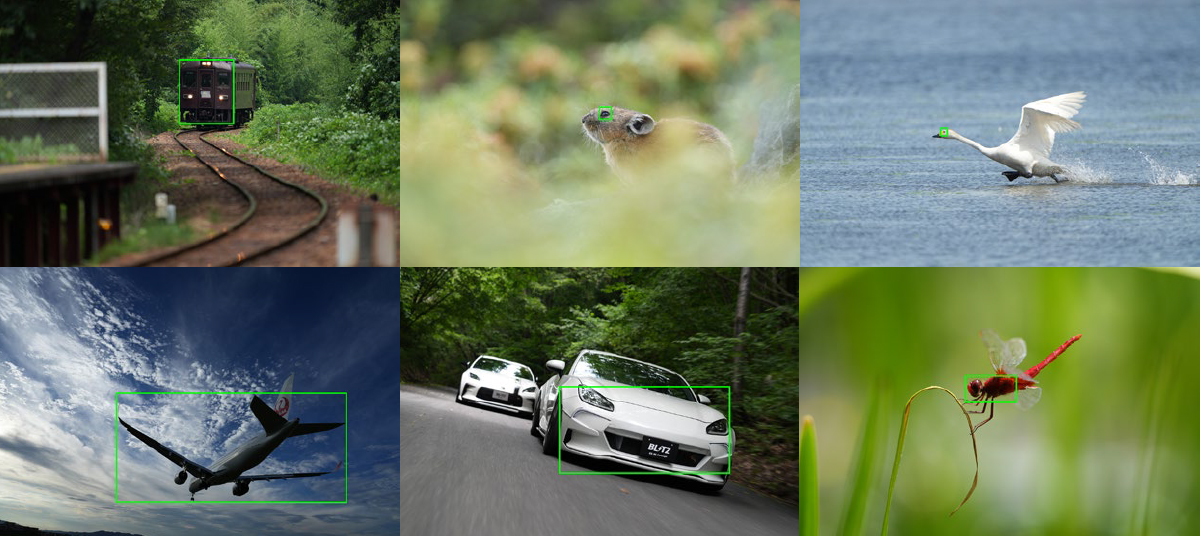 リアルタイム認識AFのイメージ