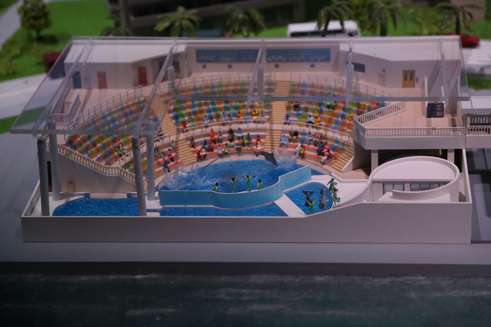 江の島水族館でイルカが跳ねる