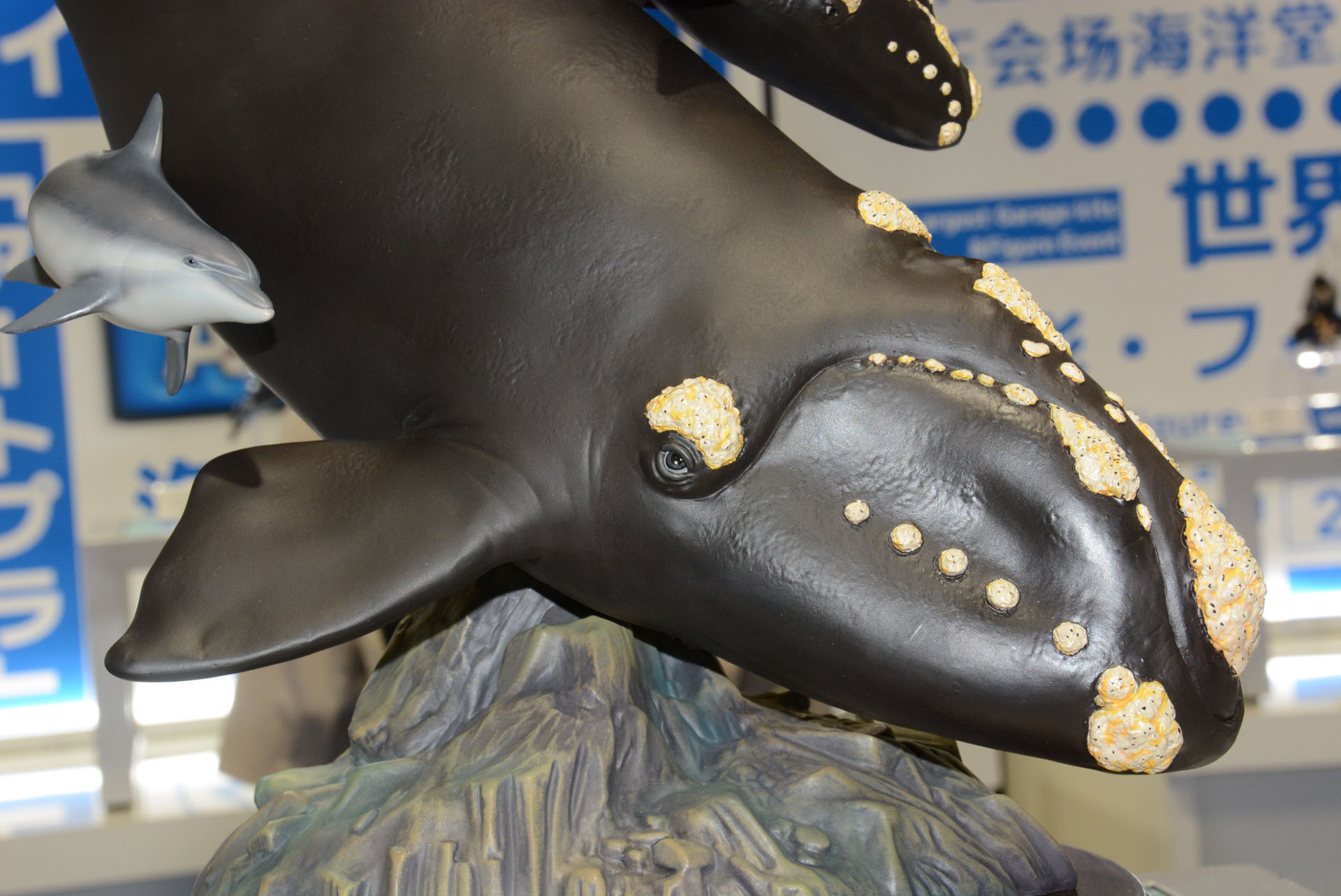 こびりついたフジツボ。体表表現まど随所に力が込められている