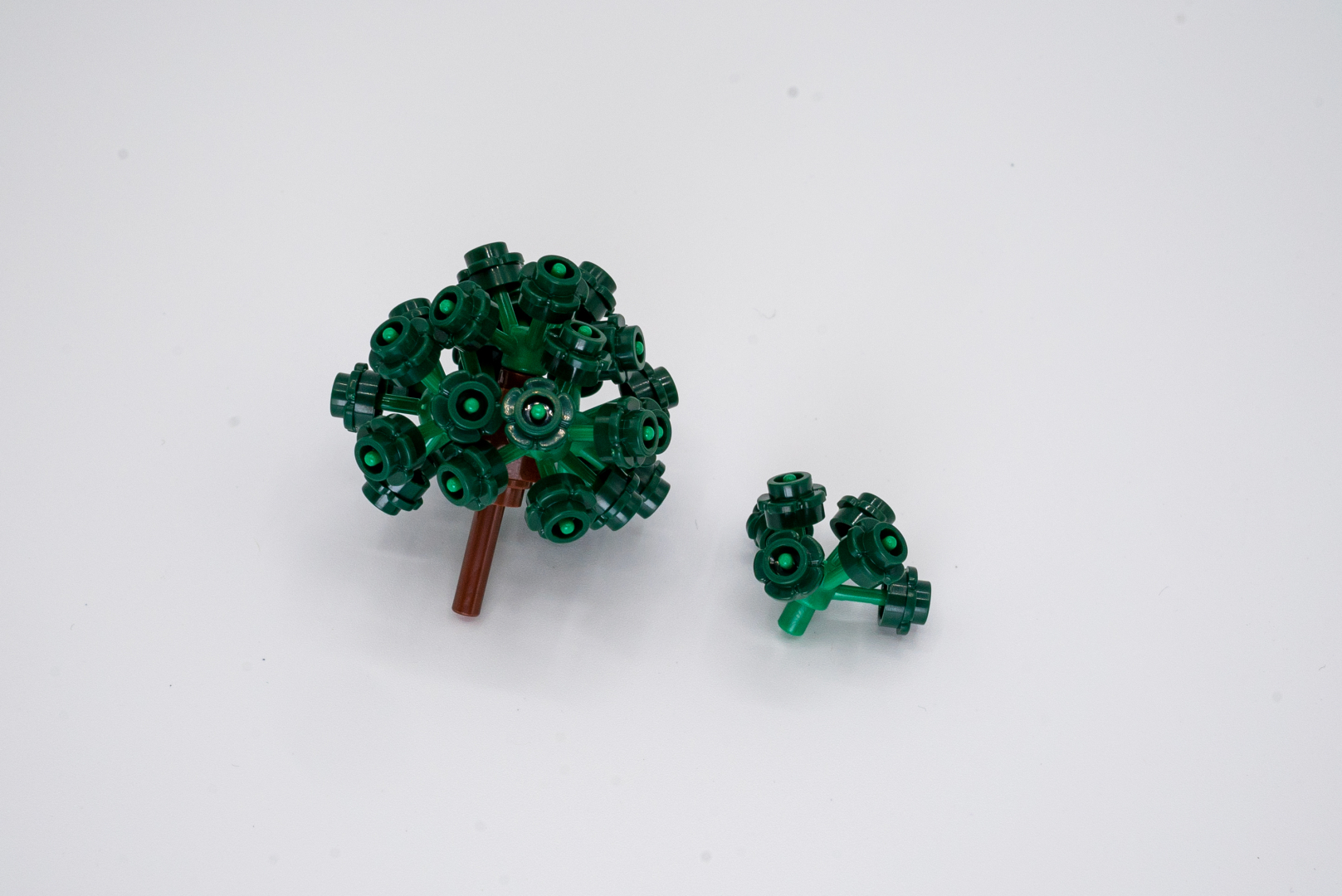 通常の木は余分にあるので、咲いている桜と交換できる