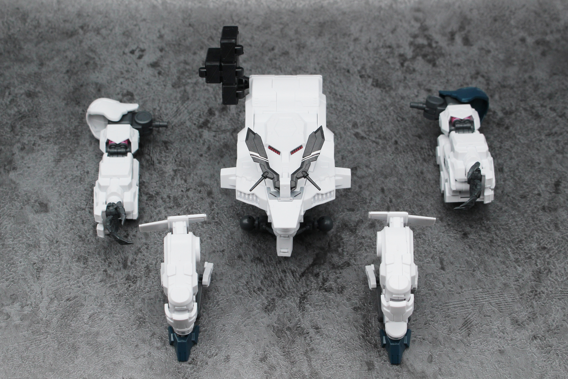 完成した胴体と四肢