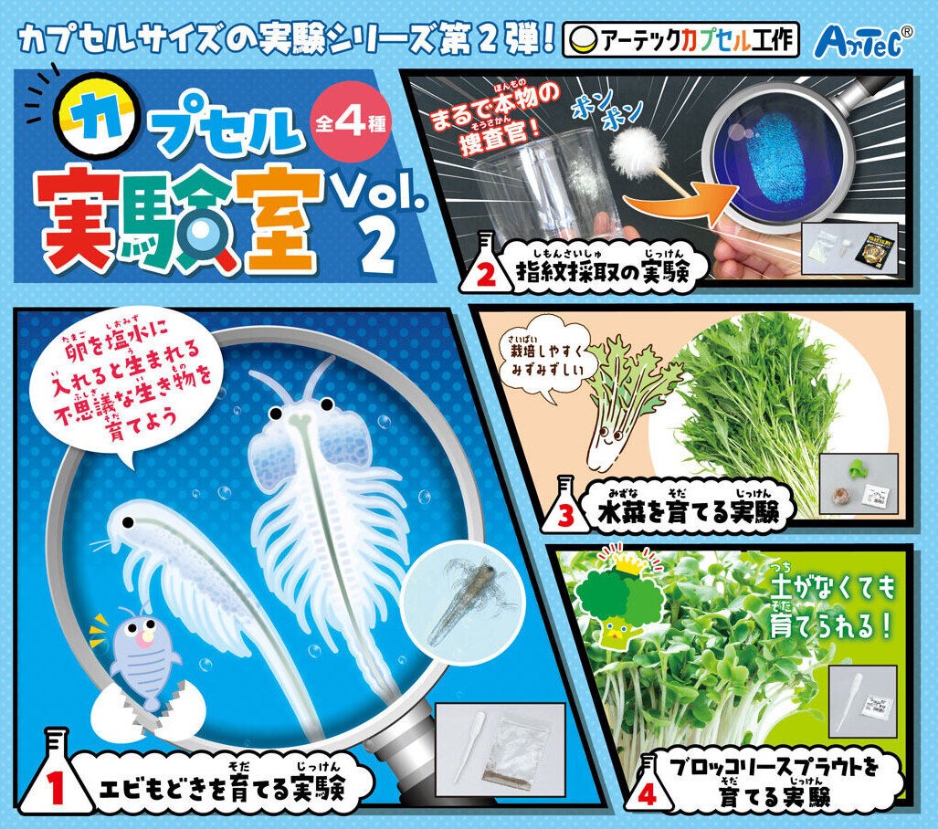 エビもどきを育てる実験