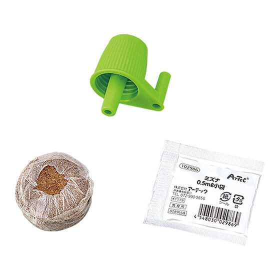 水菜を育てる実験