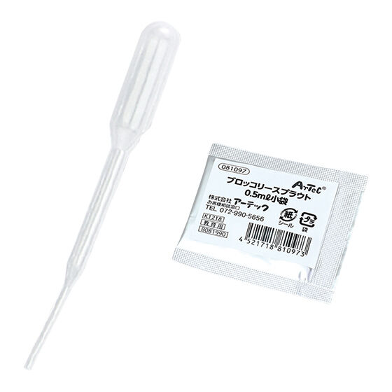 ブロッコリースプラウトを育てる実験