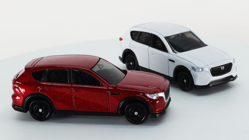 見る角度でその色合いも変化します