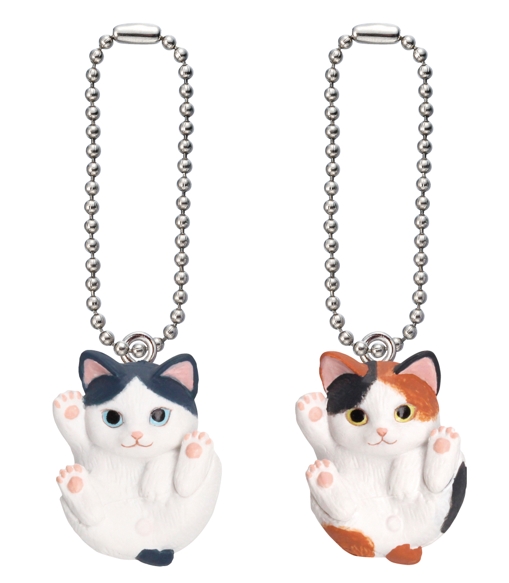 左：ジャパニーズボブテイル（はちわれ）/右：三毛猫