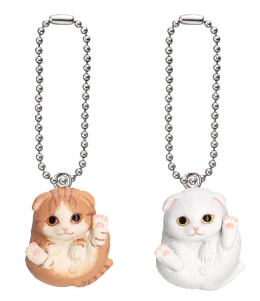 左：スコティッシュフォールド（レッドタビー）/右：スコティッシュフォールド（ホワイト）