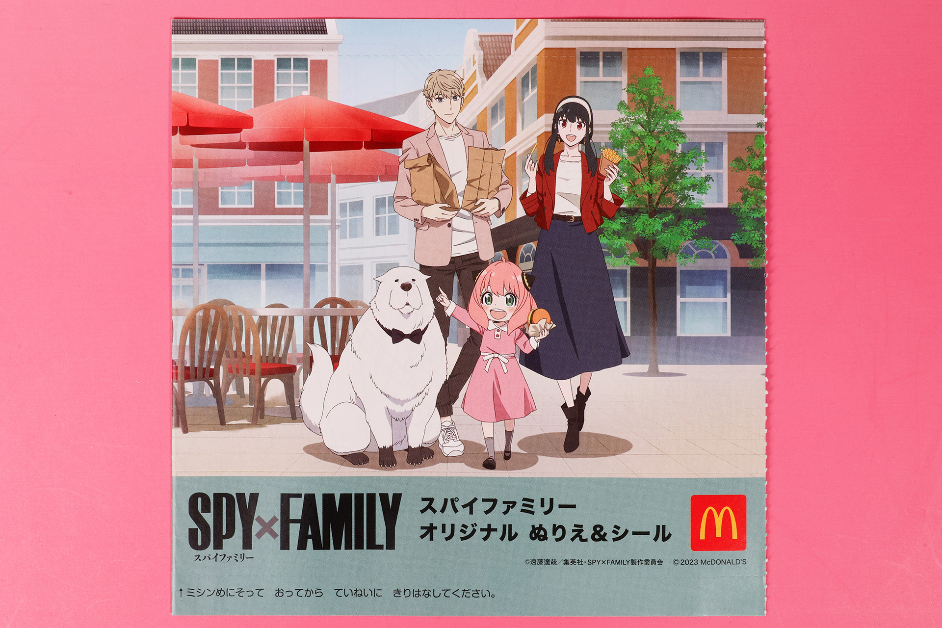 こちらが今回のおもちゃ袋の表面だ