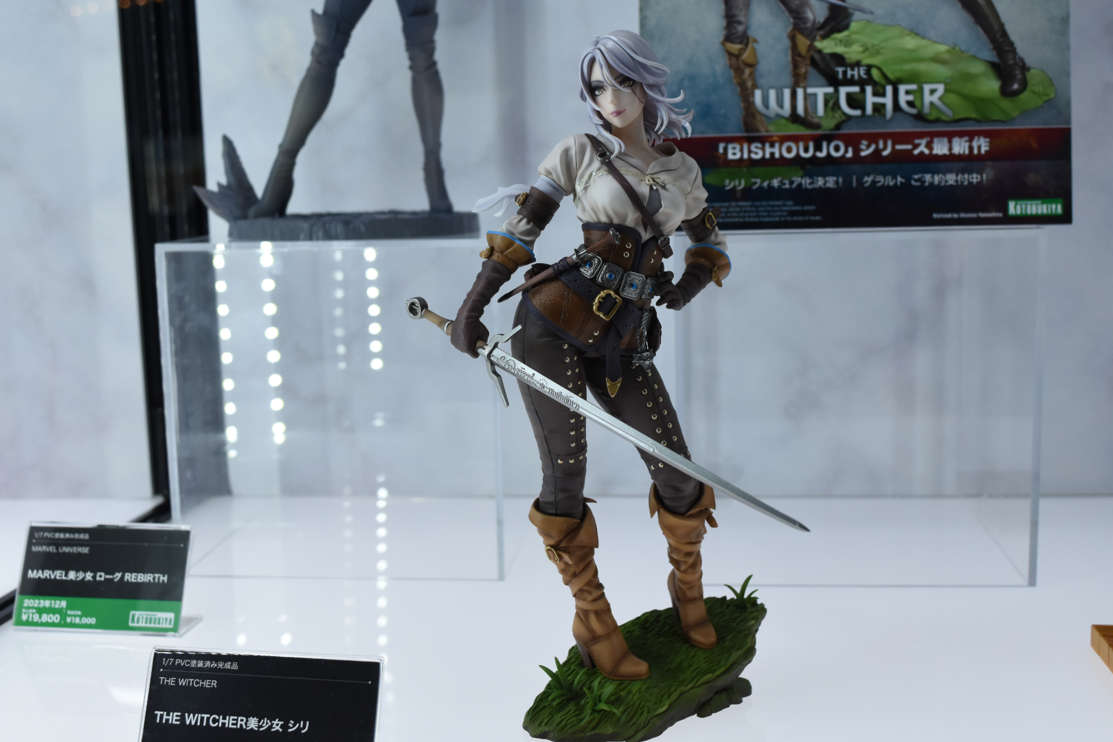 THE WITCHER美少女 シリ