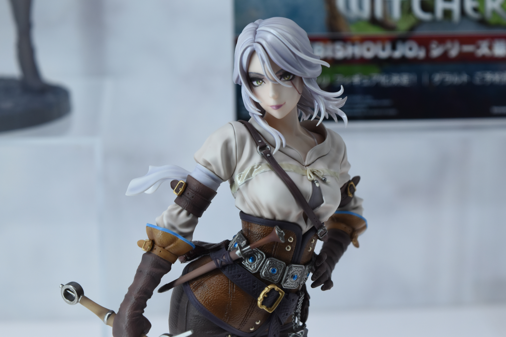 THE WITCHER美少女 シリ