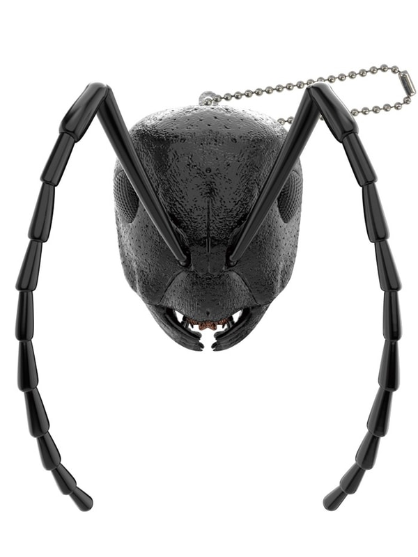 アリ メタリックver.