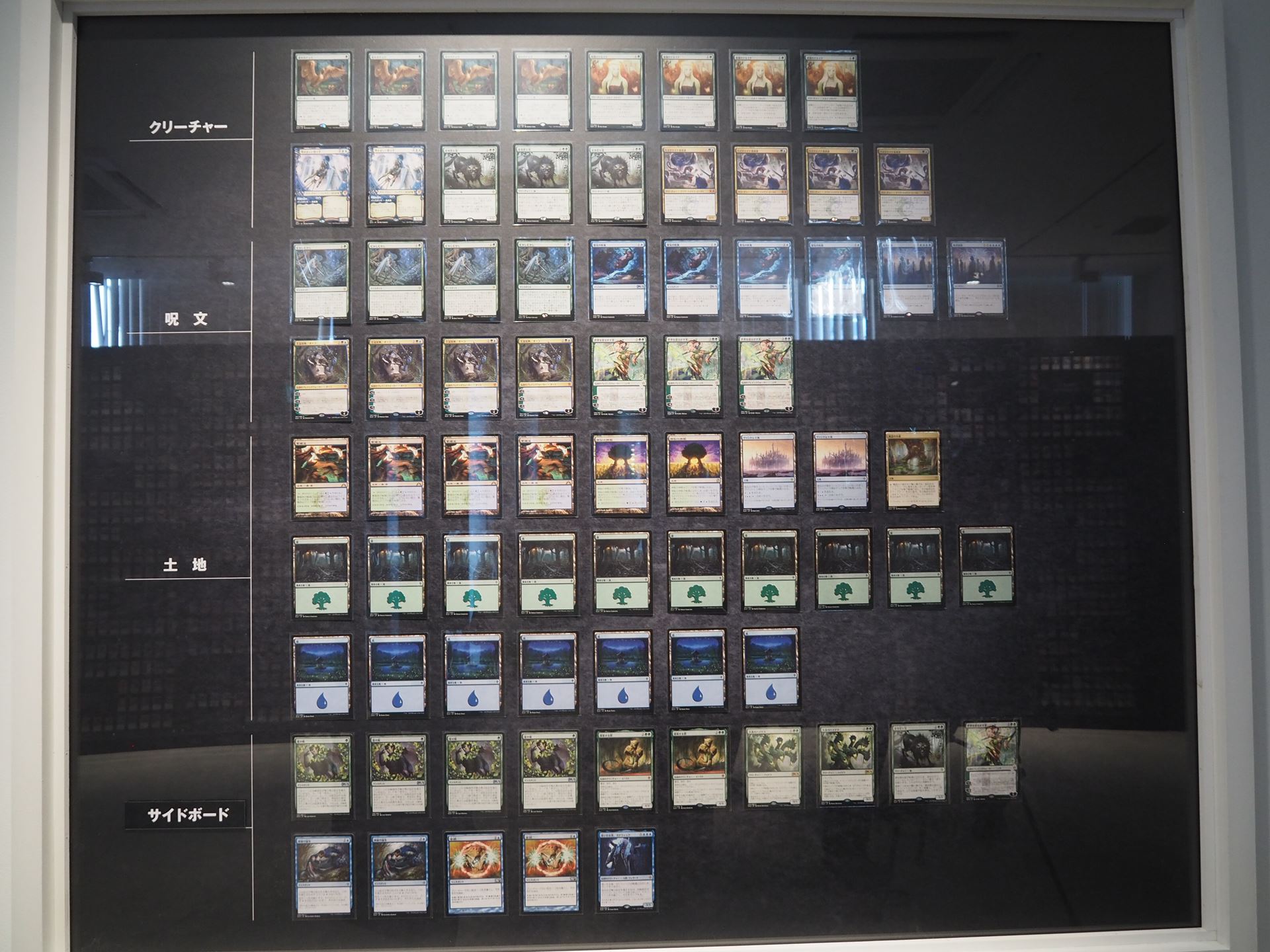 2019年を象徴する「シミック・フード」。「王冠泥棒、オーコ」が強すぎて、スタンダードから順に禁止になった