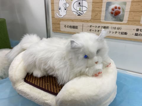 まるで本物の猫！ セガトイズから猫を研究し尽くして再現した玩具