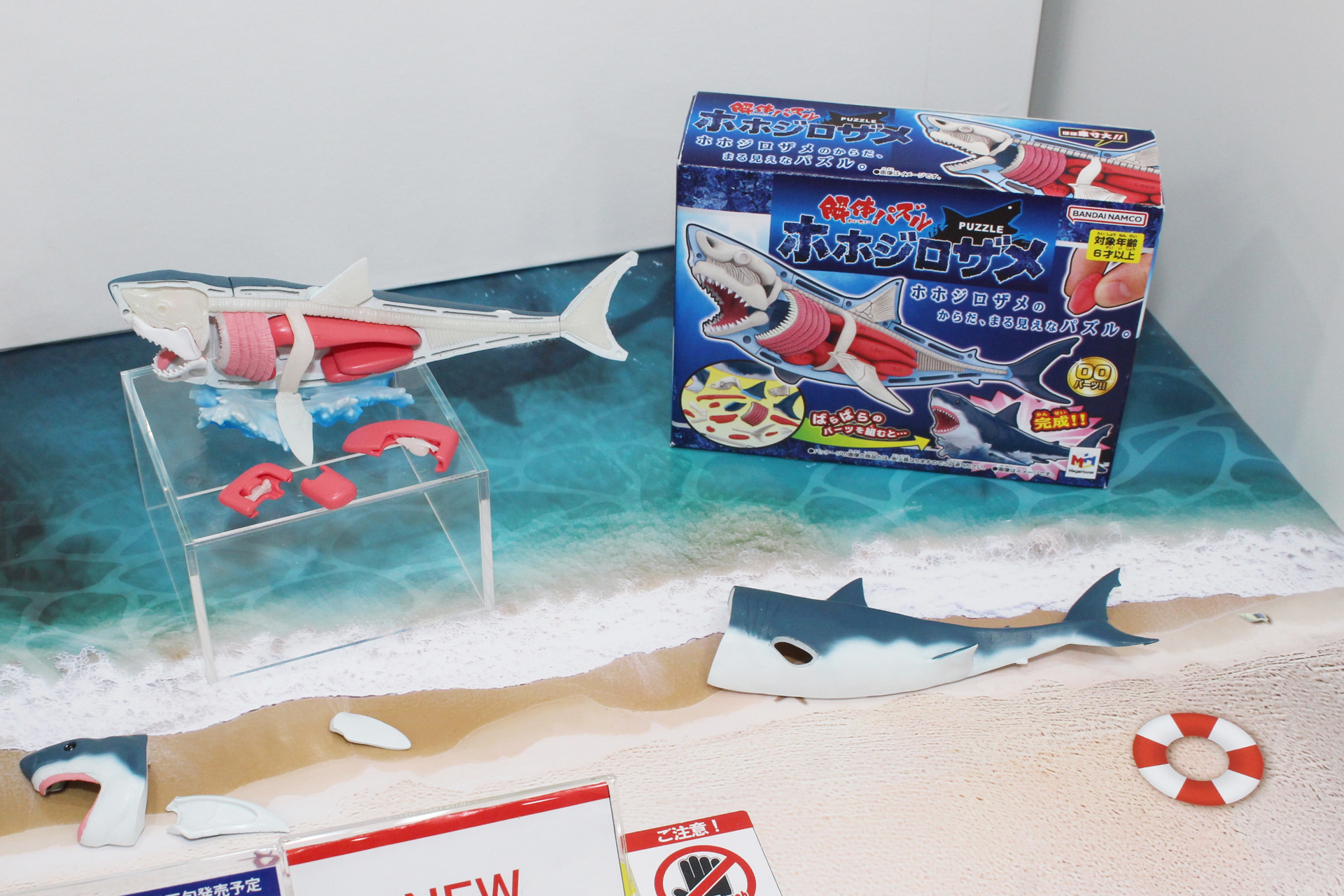 「解体パズル ホホジロザメ」。2024年1月下旬発売予定。価格は2,420円