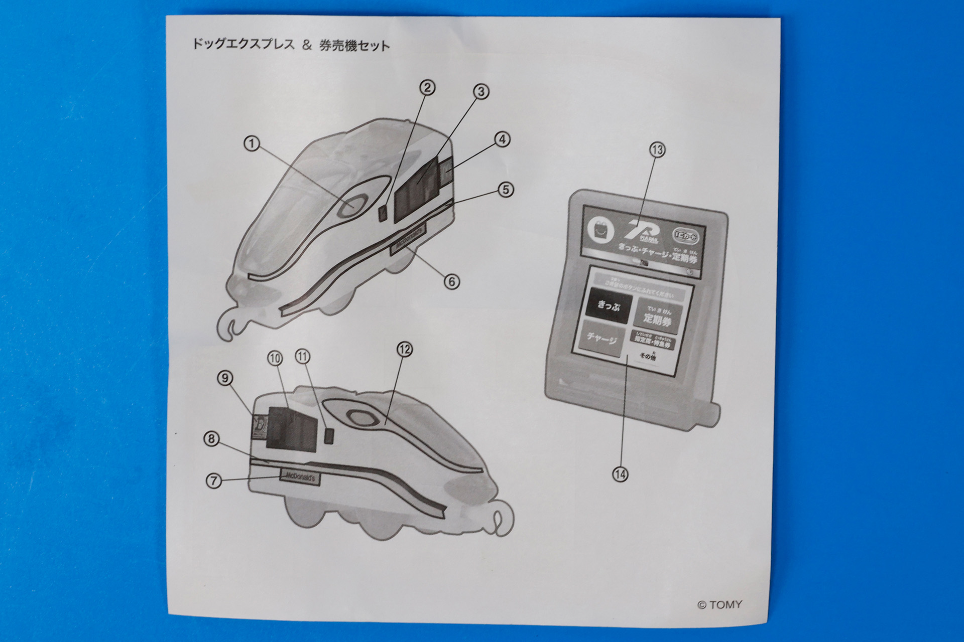 シールの裏面を参考にしよう