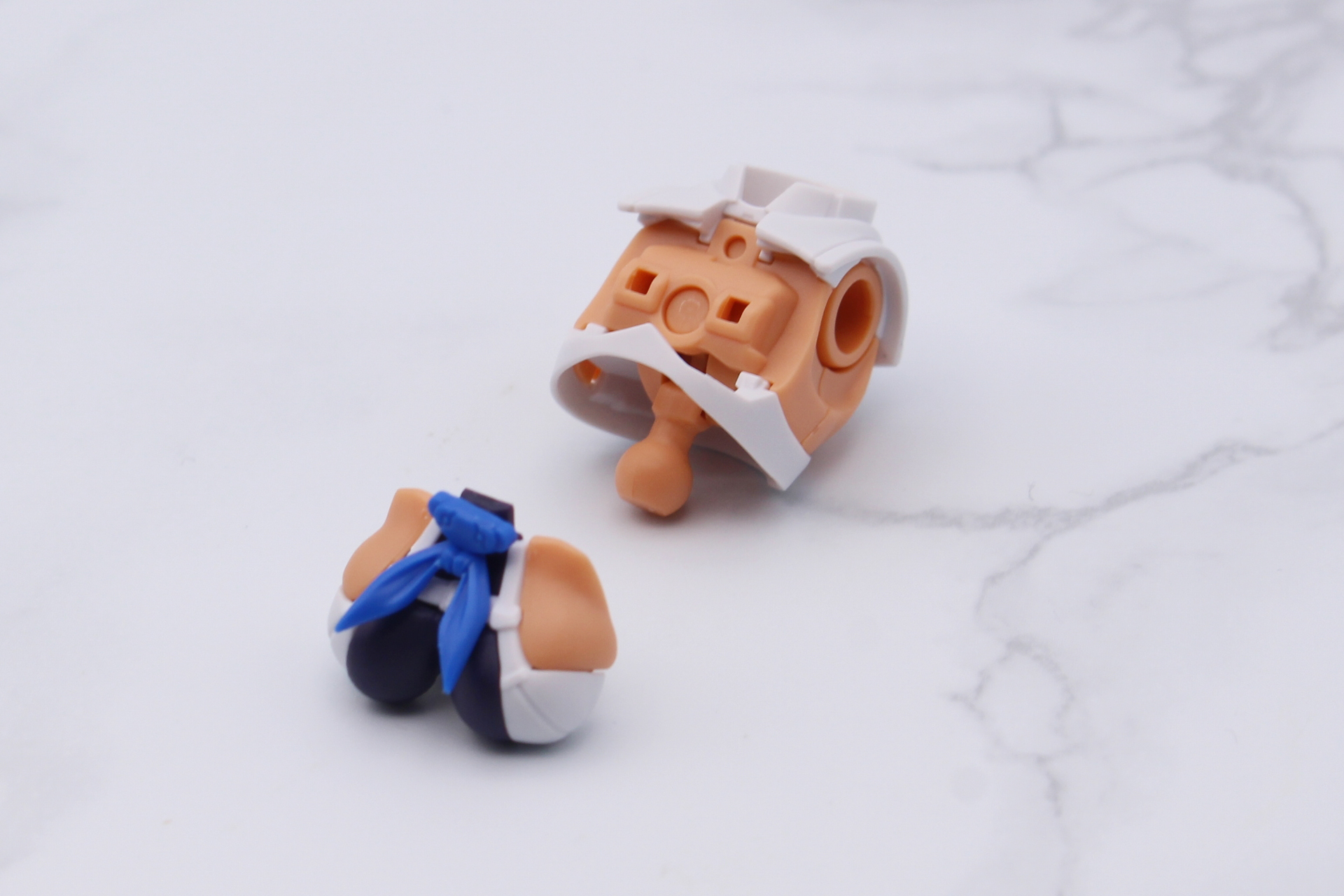 胸部とバストが完成