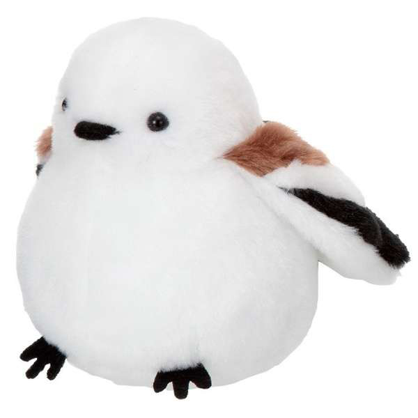 シマエナガ