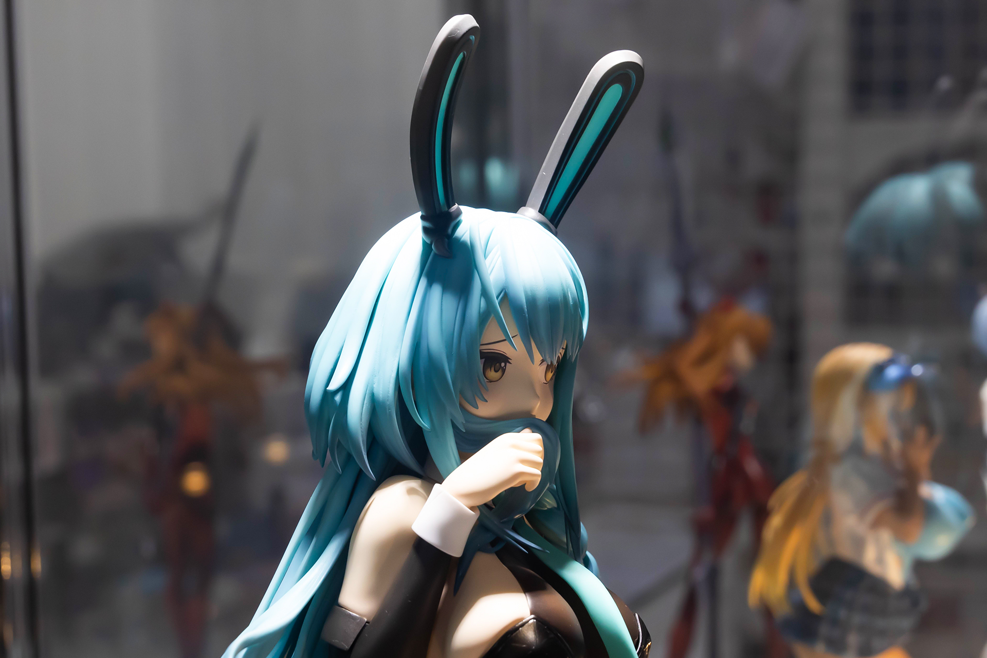 なんといっても嬉しいのは、いろいろな角度からボイシが見られることだ