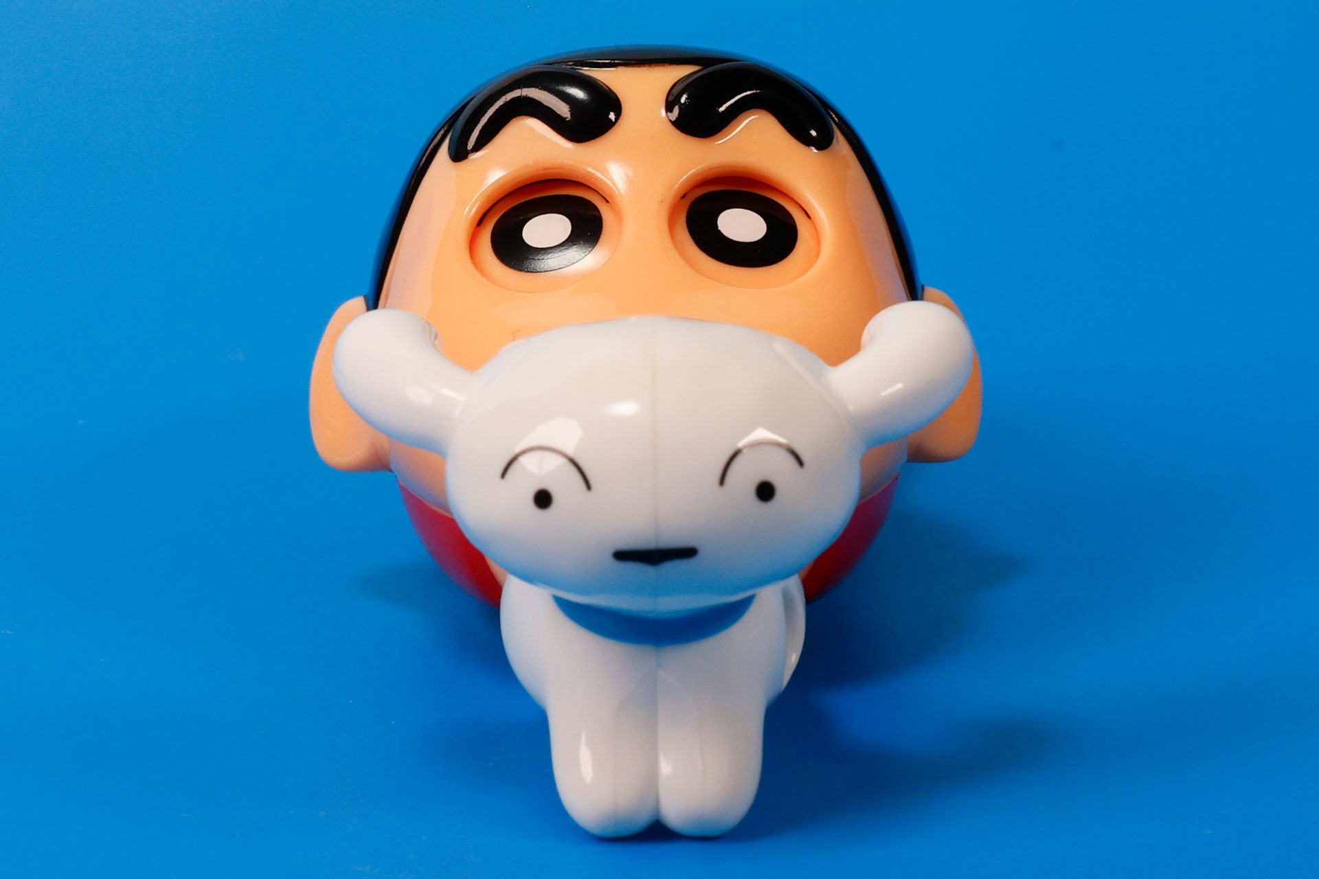 シロがなんだか真面目な表情に見える