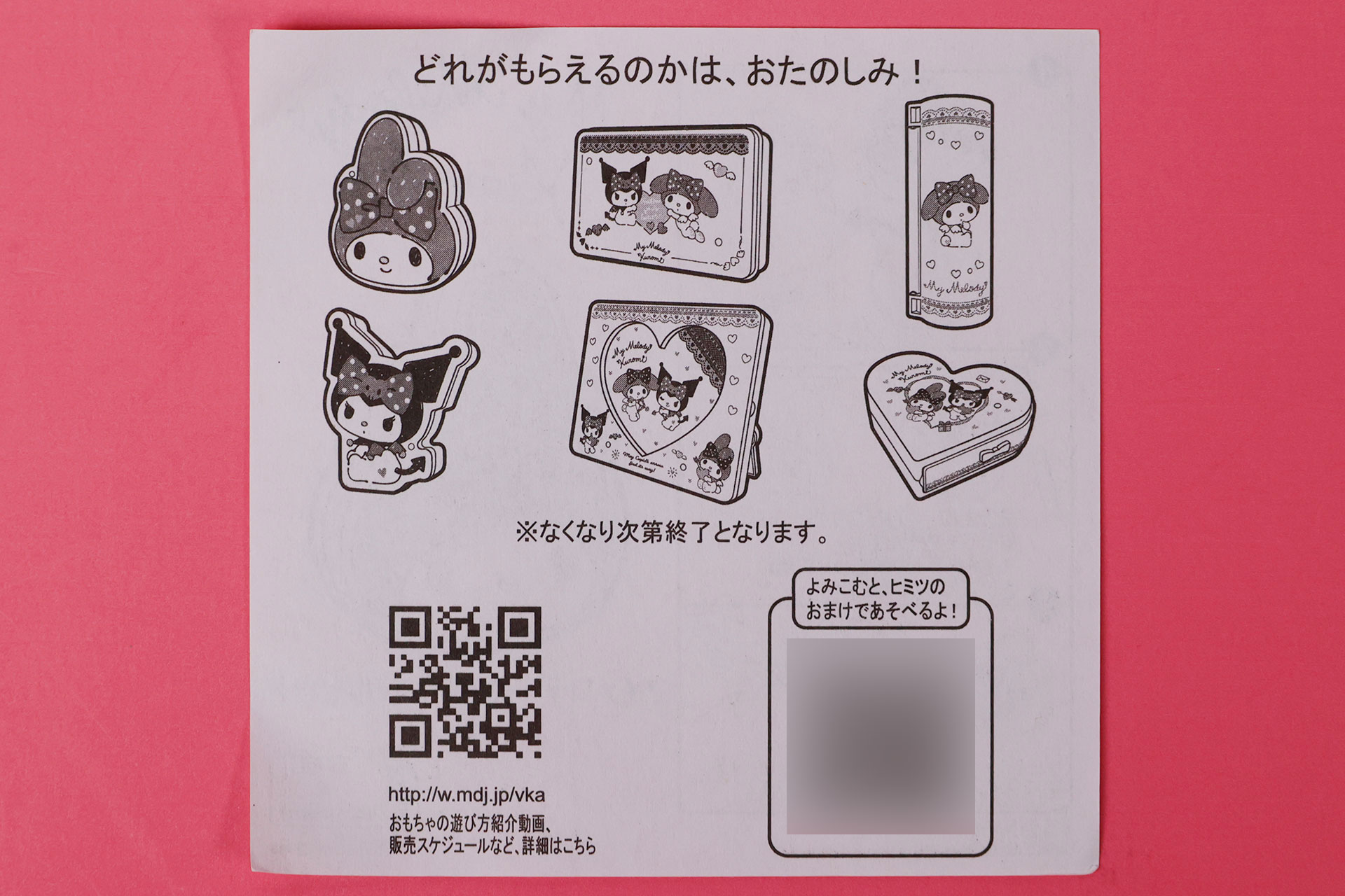 説明書の裏面は、全部のおもちゃに共通しているものだ