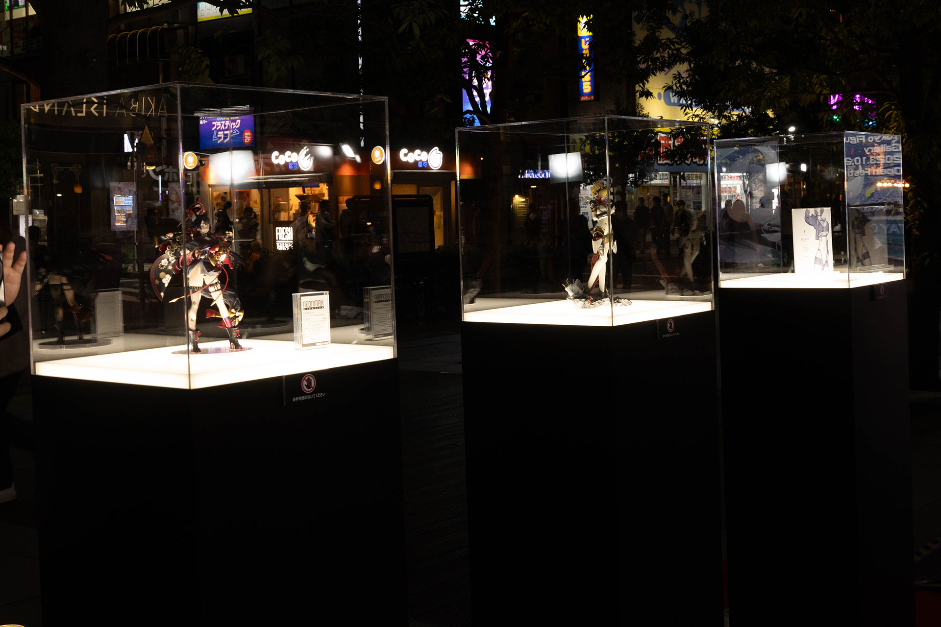 このような形で、ガラスケースに入れられて飾られている