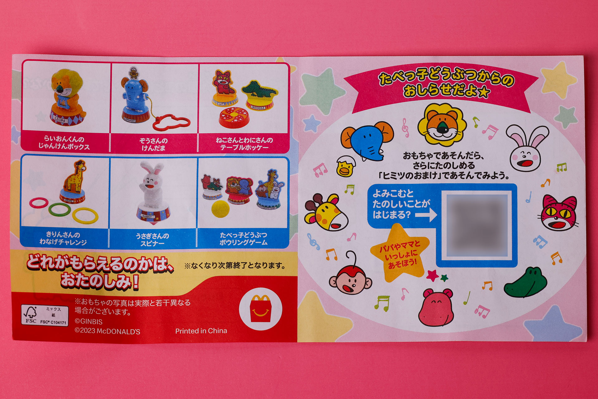 こちらは説明書の裏面で、すべてのおもちゃに共通した内容が書かれている