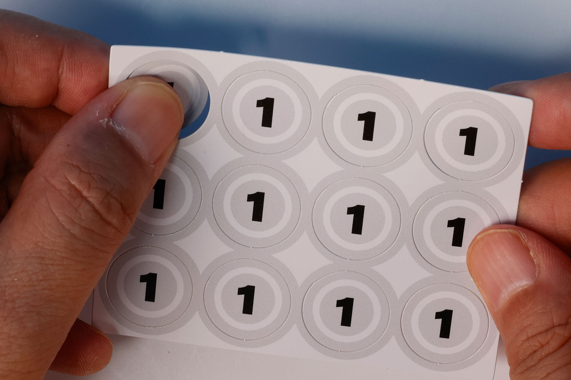 遊び始める前に得点チップを切り離しておく