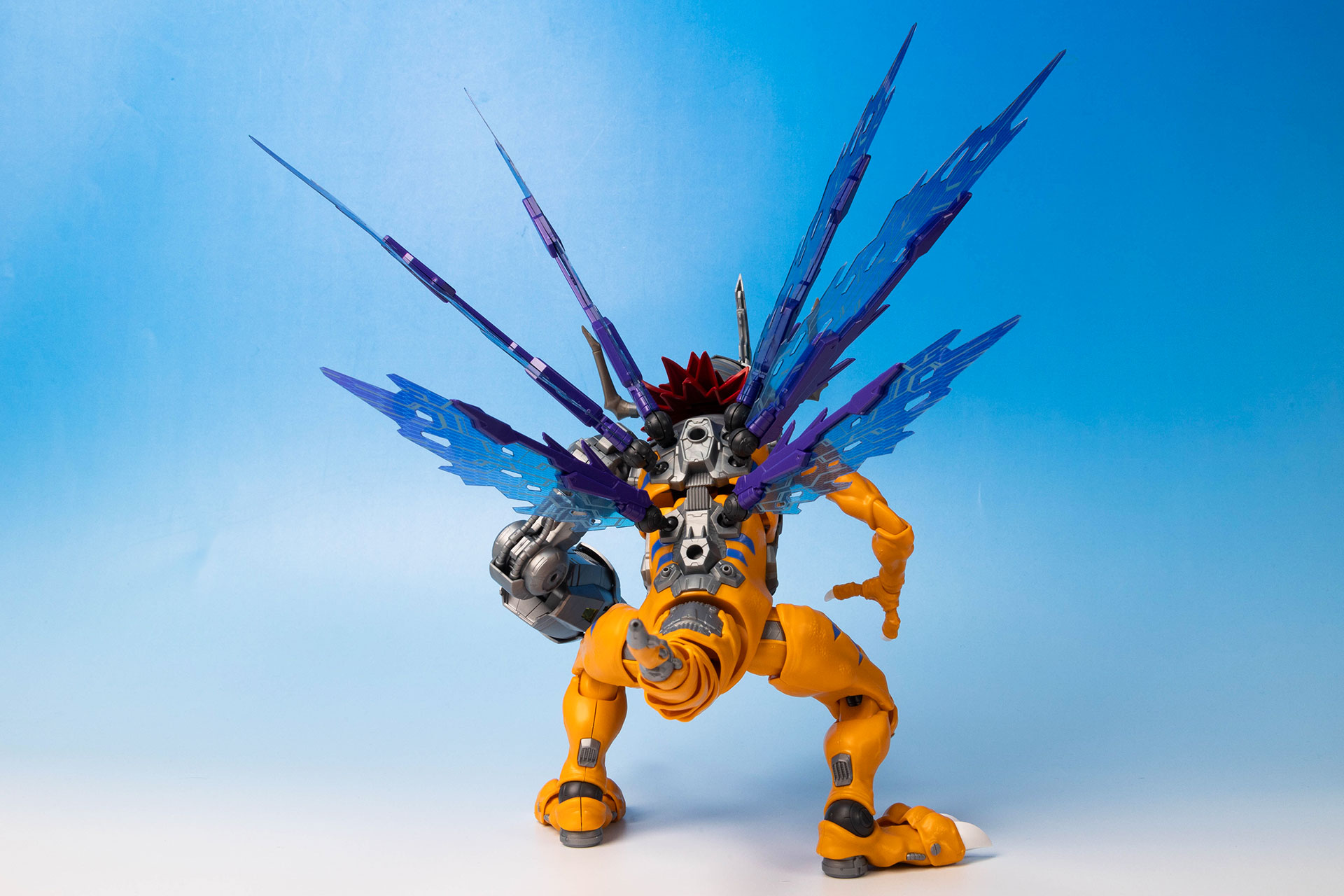 後ろ姿も決まって見える