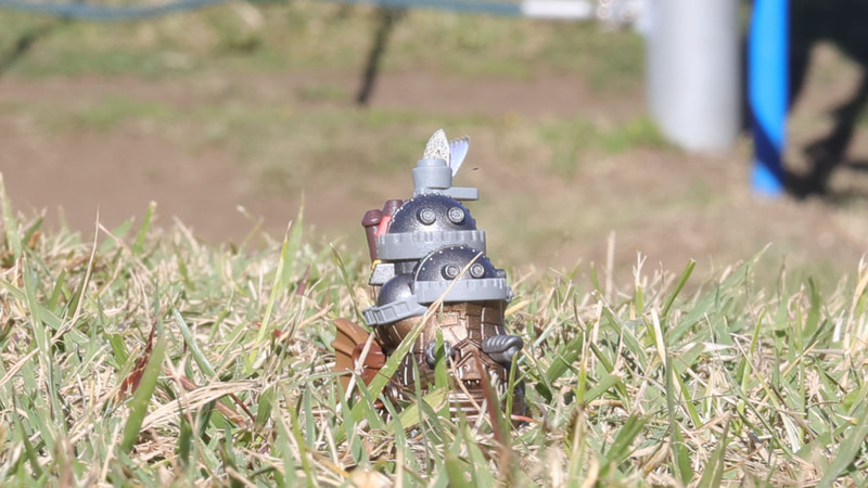 ちょうちょが遊びに来てくれました